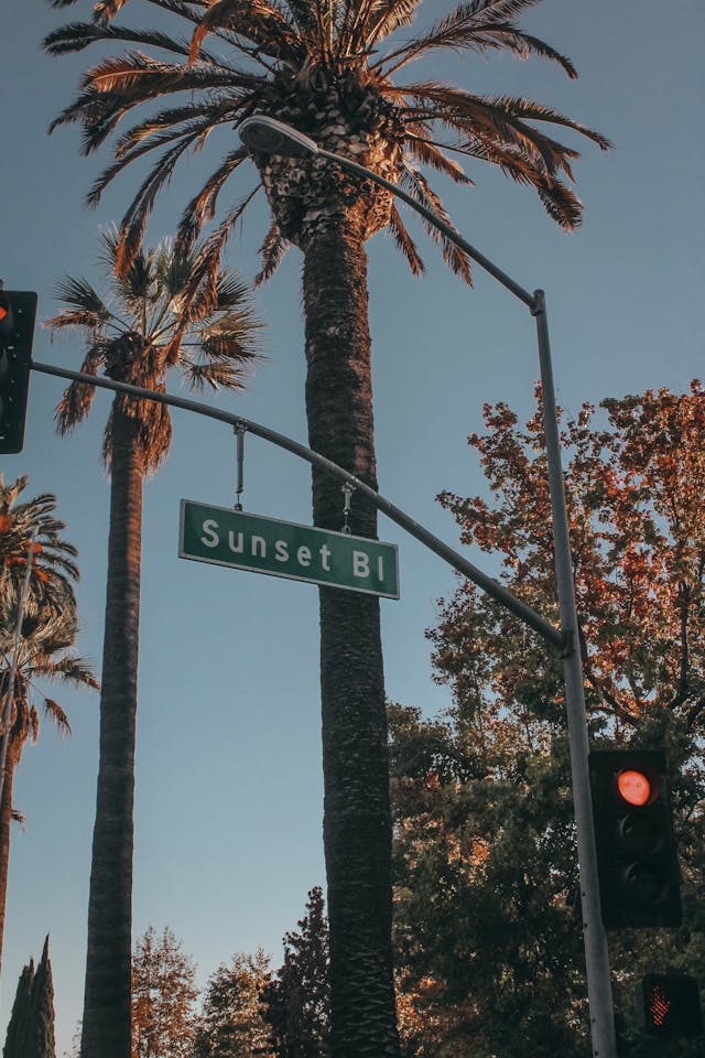 An image of palm trees and a sign reading Sunset Blvd.