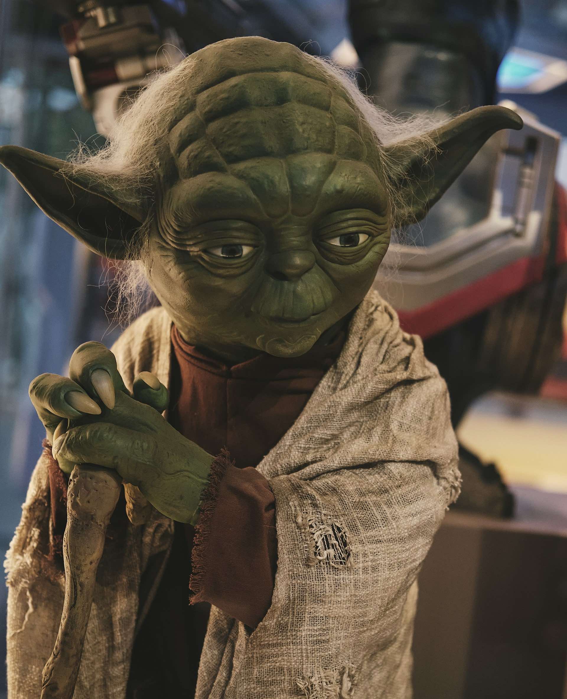An image of Yoda for Star Wars day.