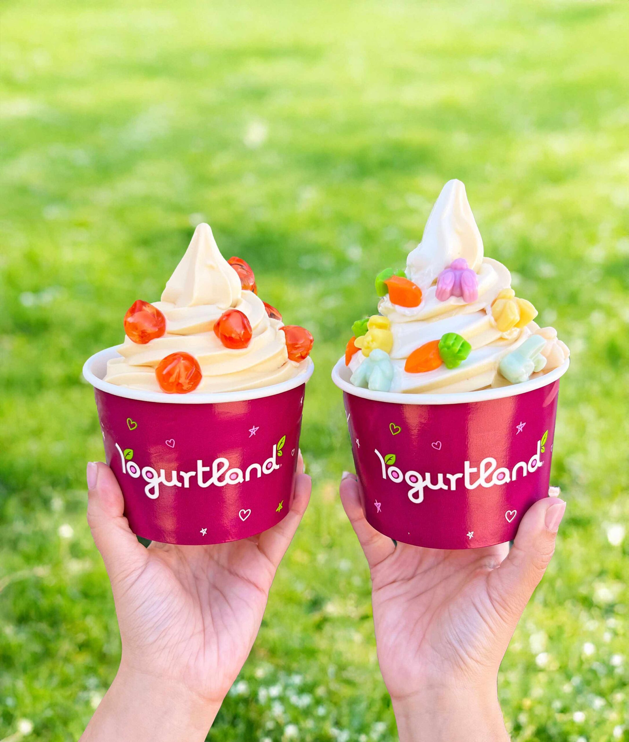 Cool off this Memorial Day weekend with a tasty treat from Yogurtland.