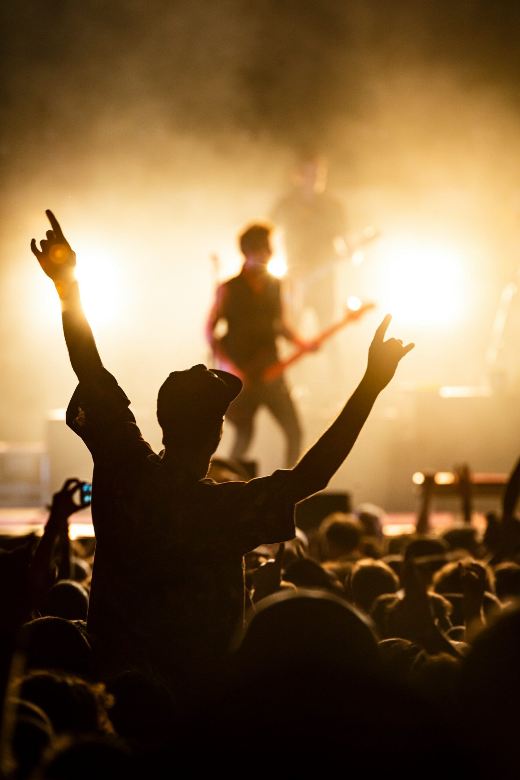 An image of people at a rock concert.