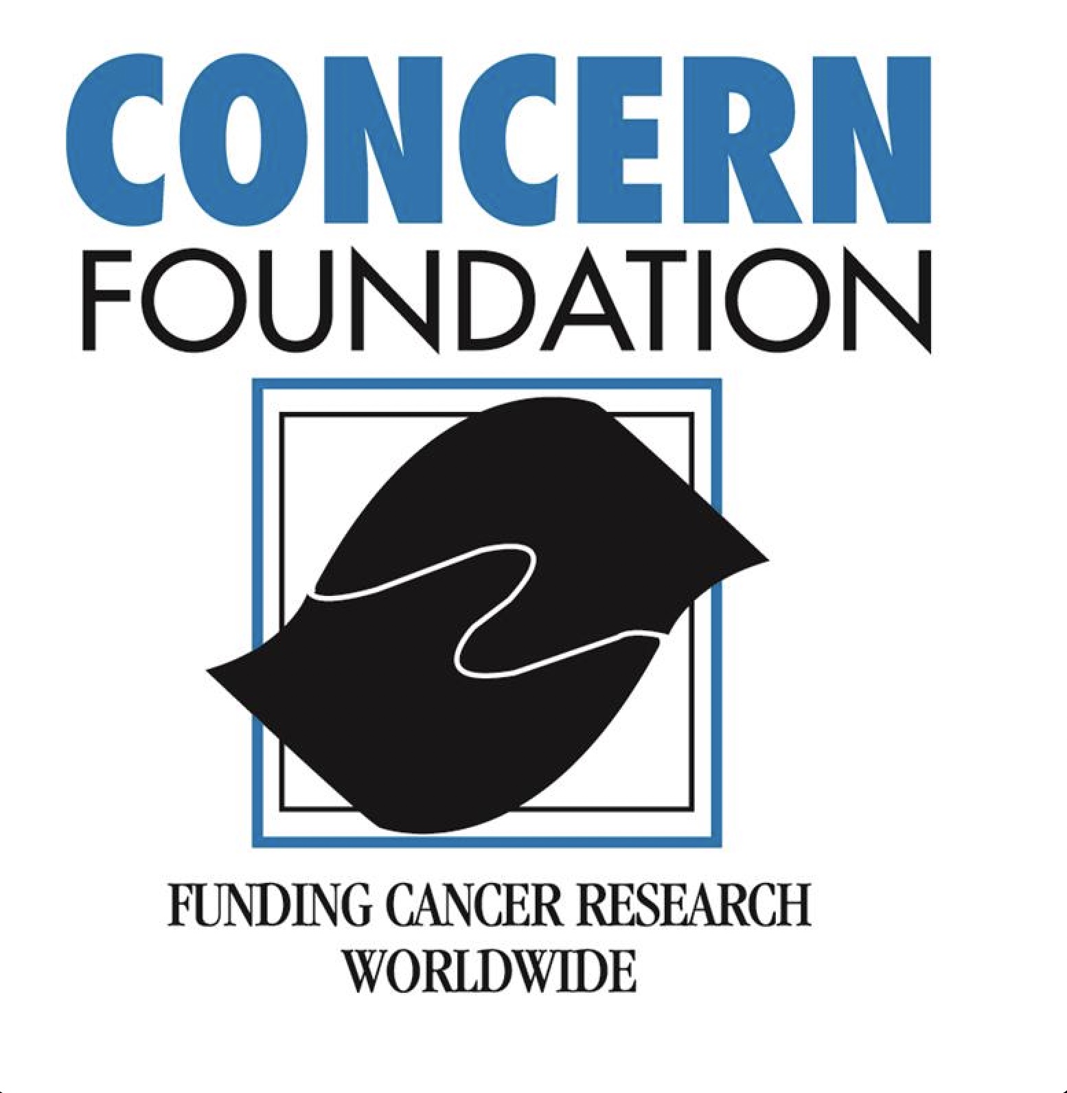 An image of the Concern Foundation logo.