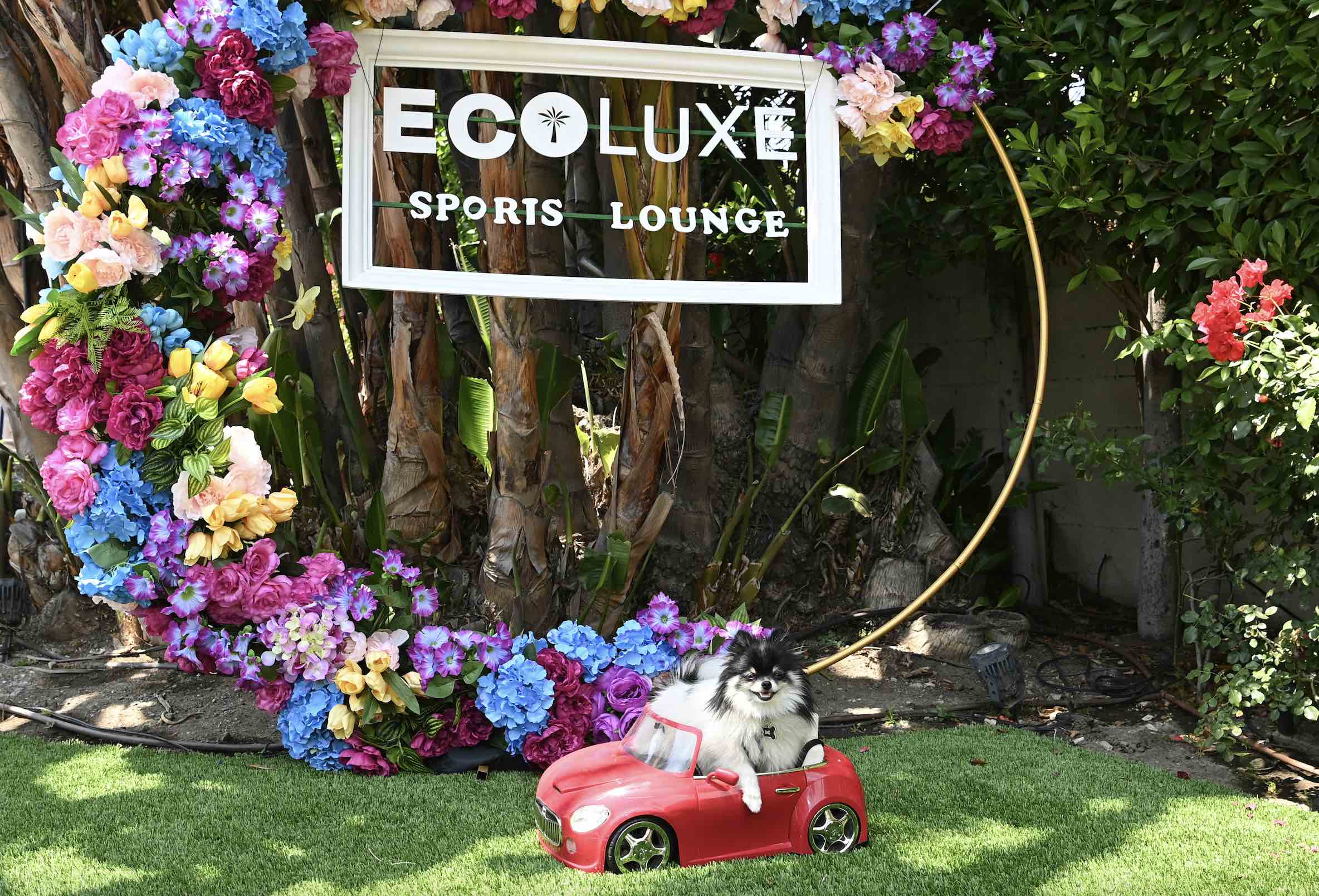 An image of a dog in a toy barbie car.
