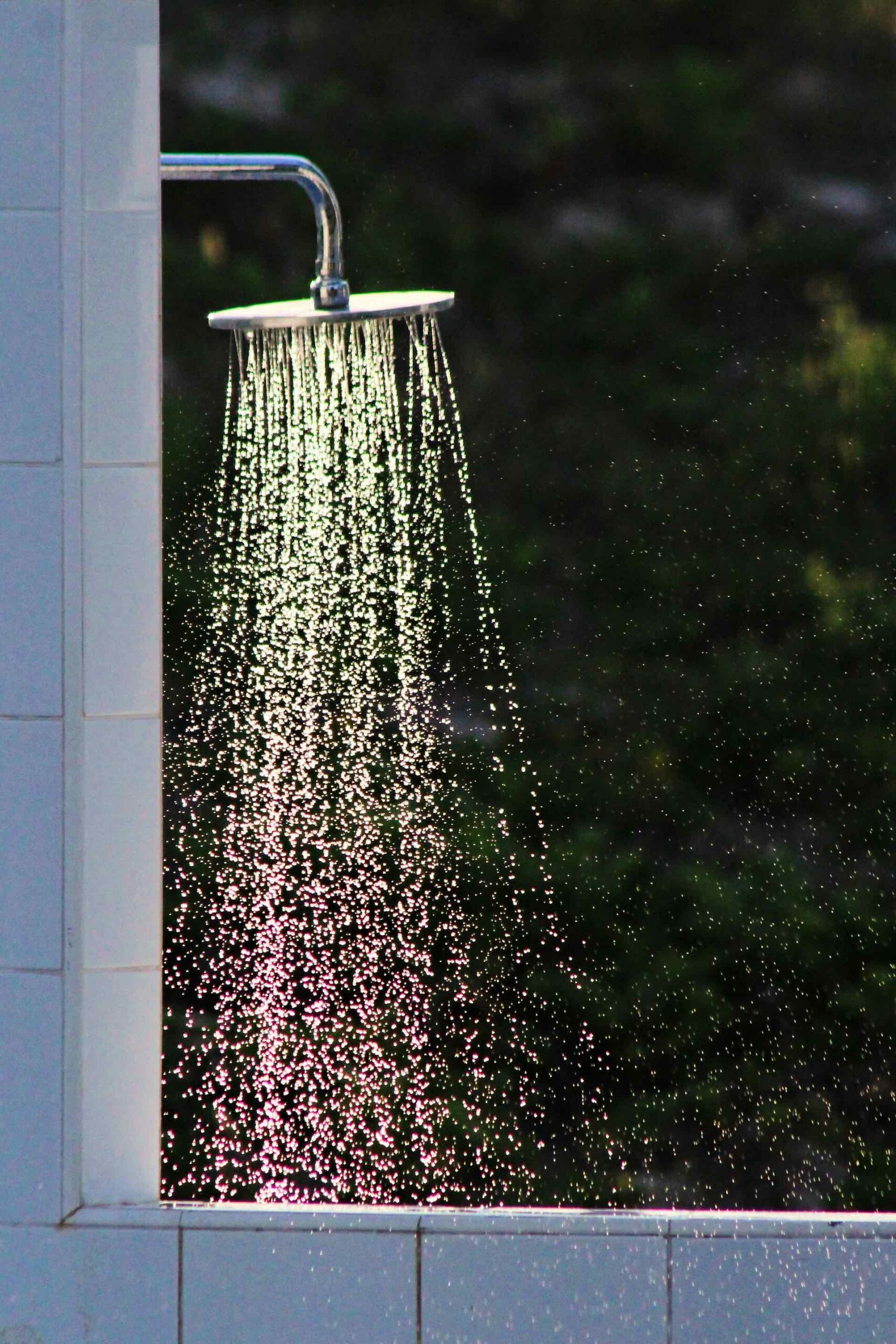 An image of a shower head.