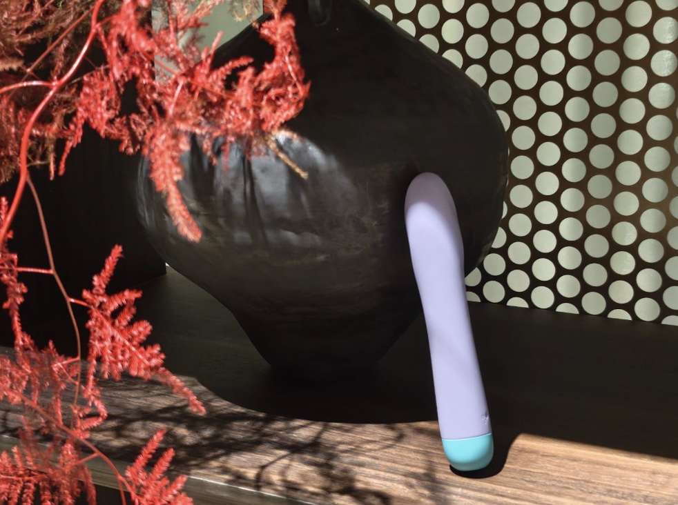 An image of a sex toy.