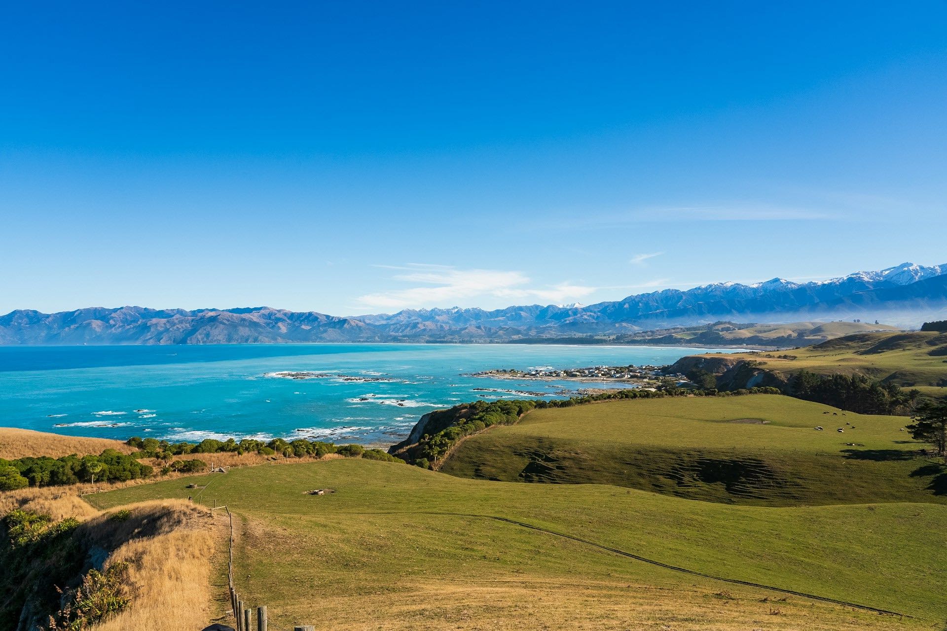 An image of the green land and blue ocean in New Zealand South Island