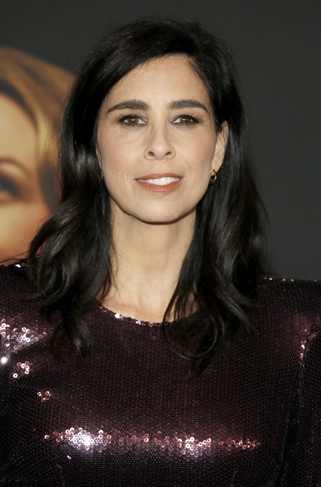 An image of Sarah Silverman.