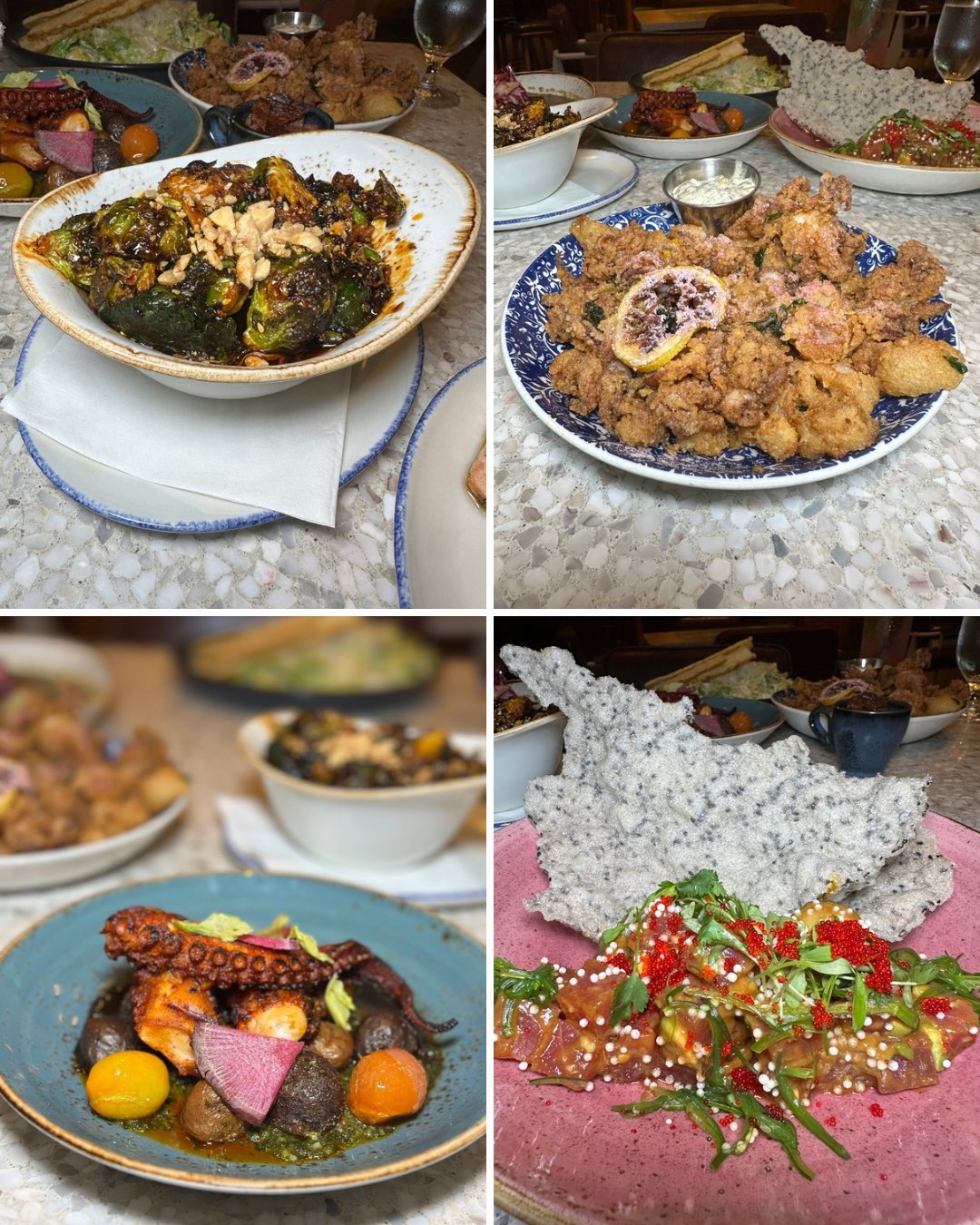 An image of 4 images: Crispy Brussels Sprouts were a revelation – perfectly charred with just the right amount of crunch. The Tuna Poke was incredibly fresh, showcasing the best of San Diego's coastal cuisine. The Calamari Fritti was light and crispy, while the Point Loma Octopus