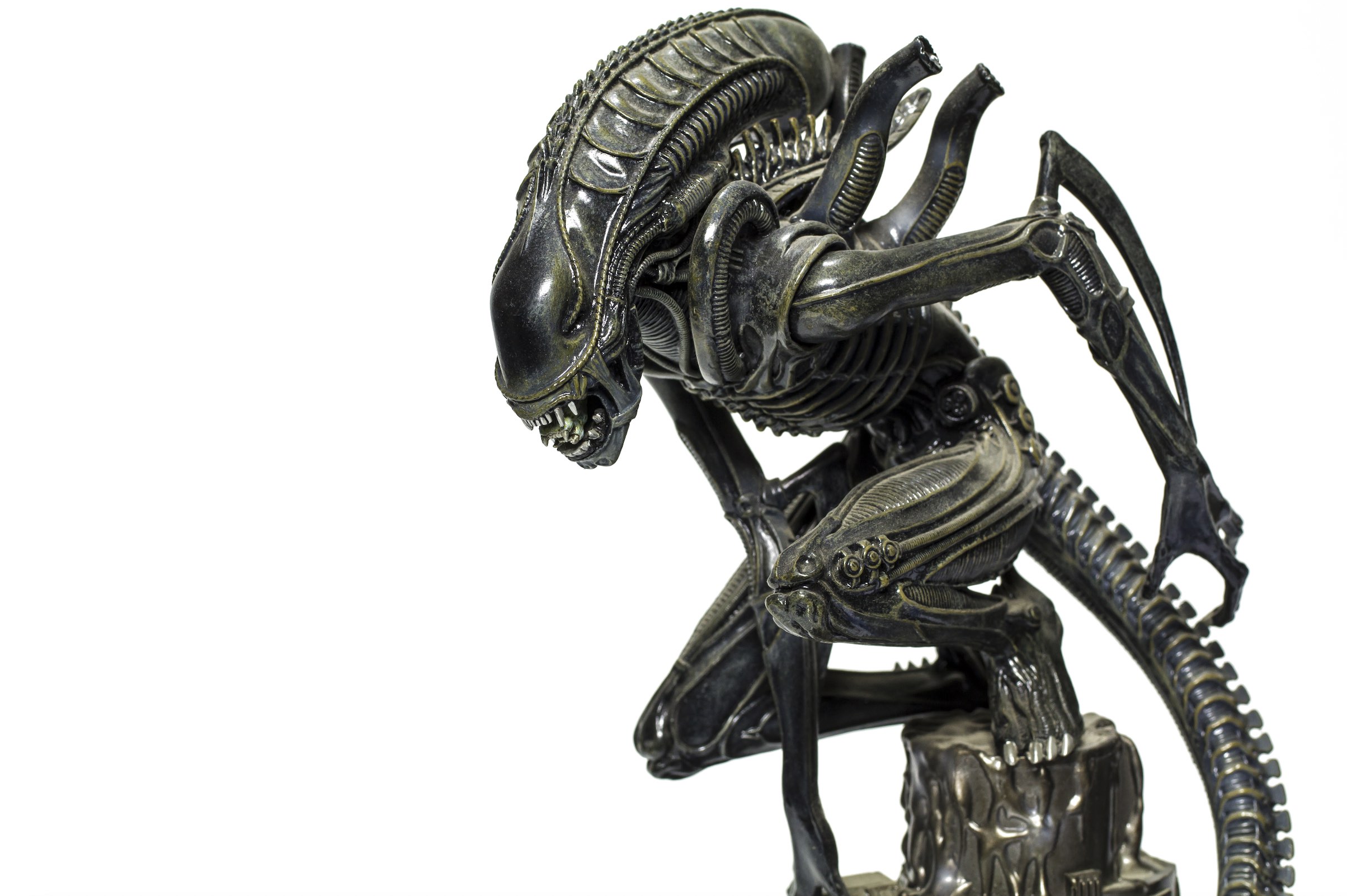 An image of the xenomorph from the Alien franchise.