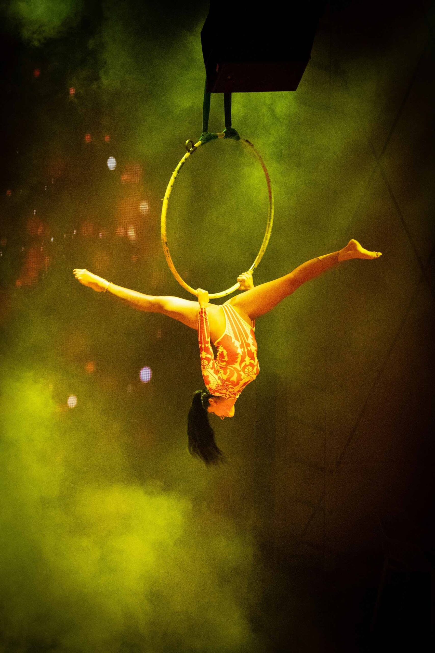 An image of a cirque du soleil acrobat.