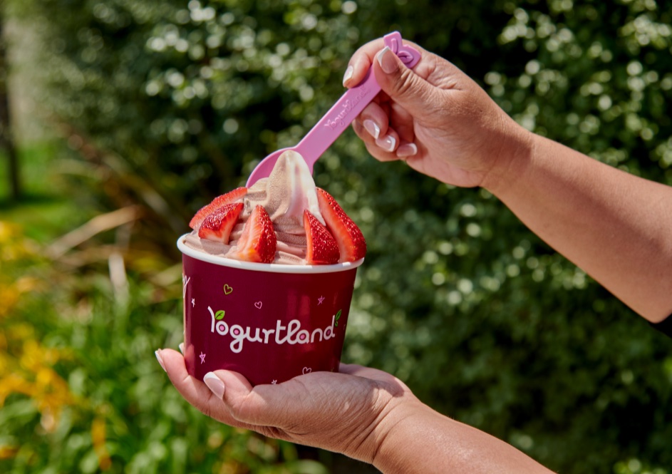 An image of someone holding a Yogurtland container.
