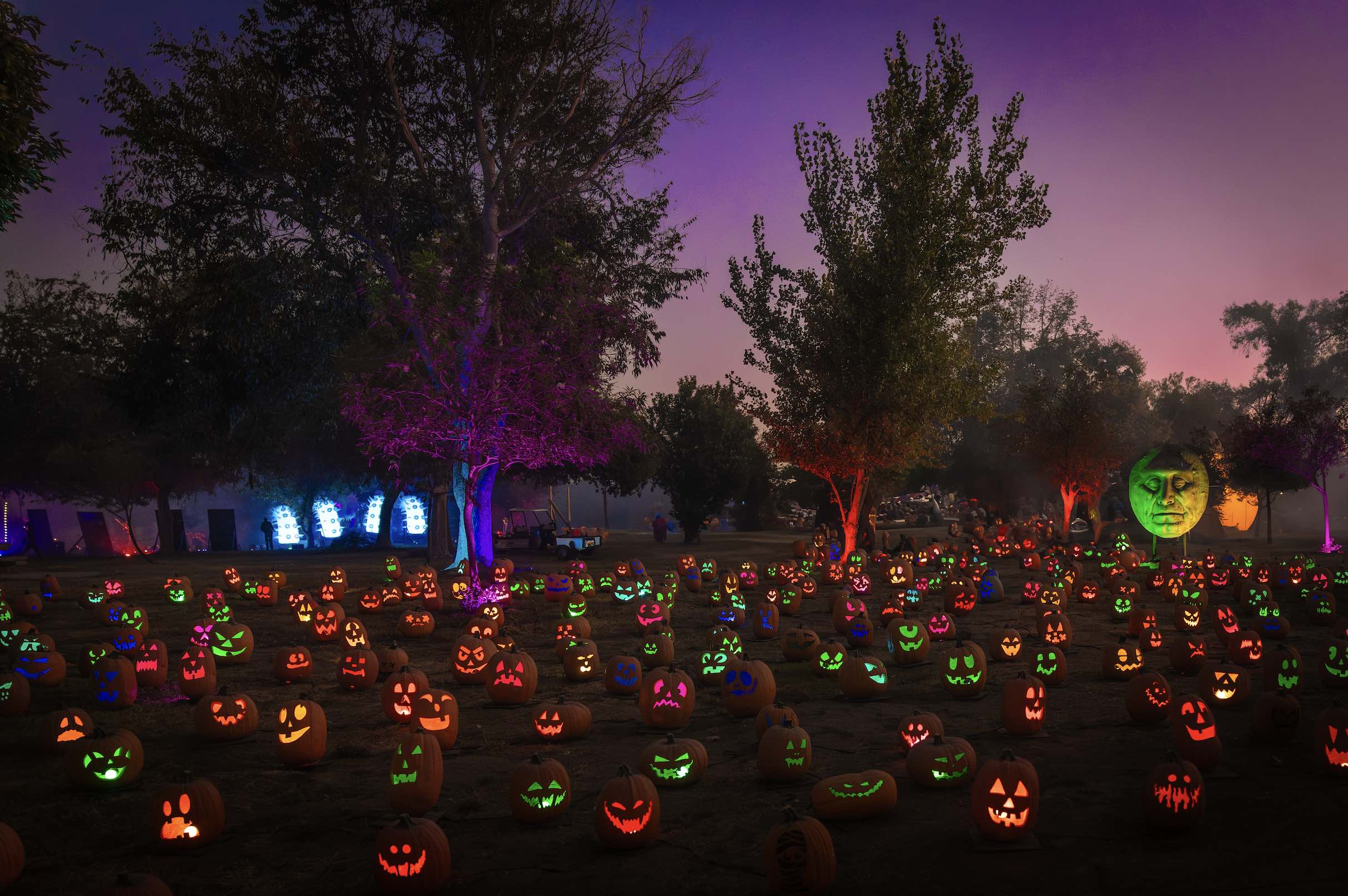 An image of a field of Jack O’Lanterns.