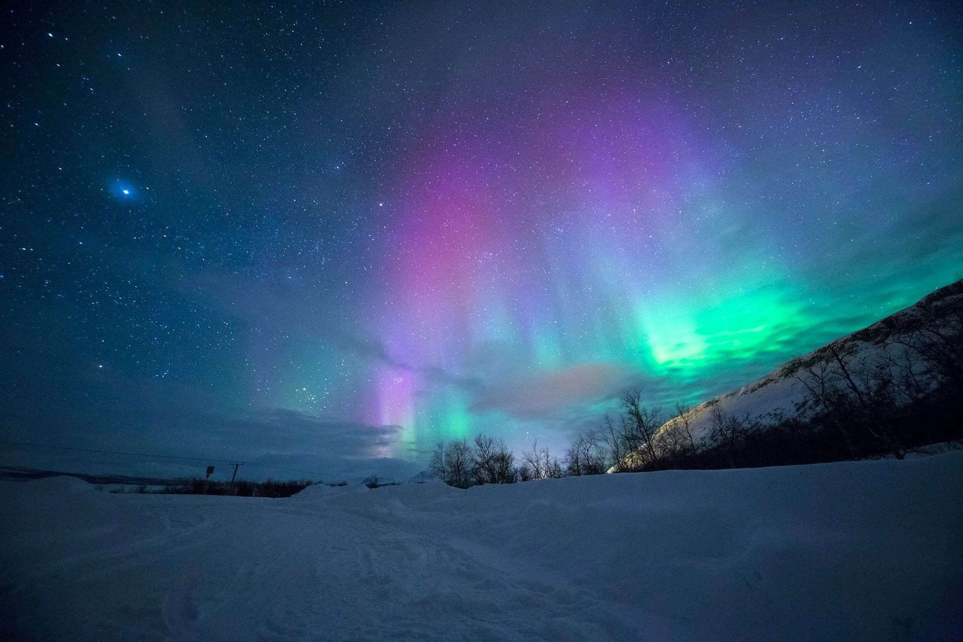 An image of the Northern Lights