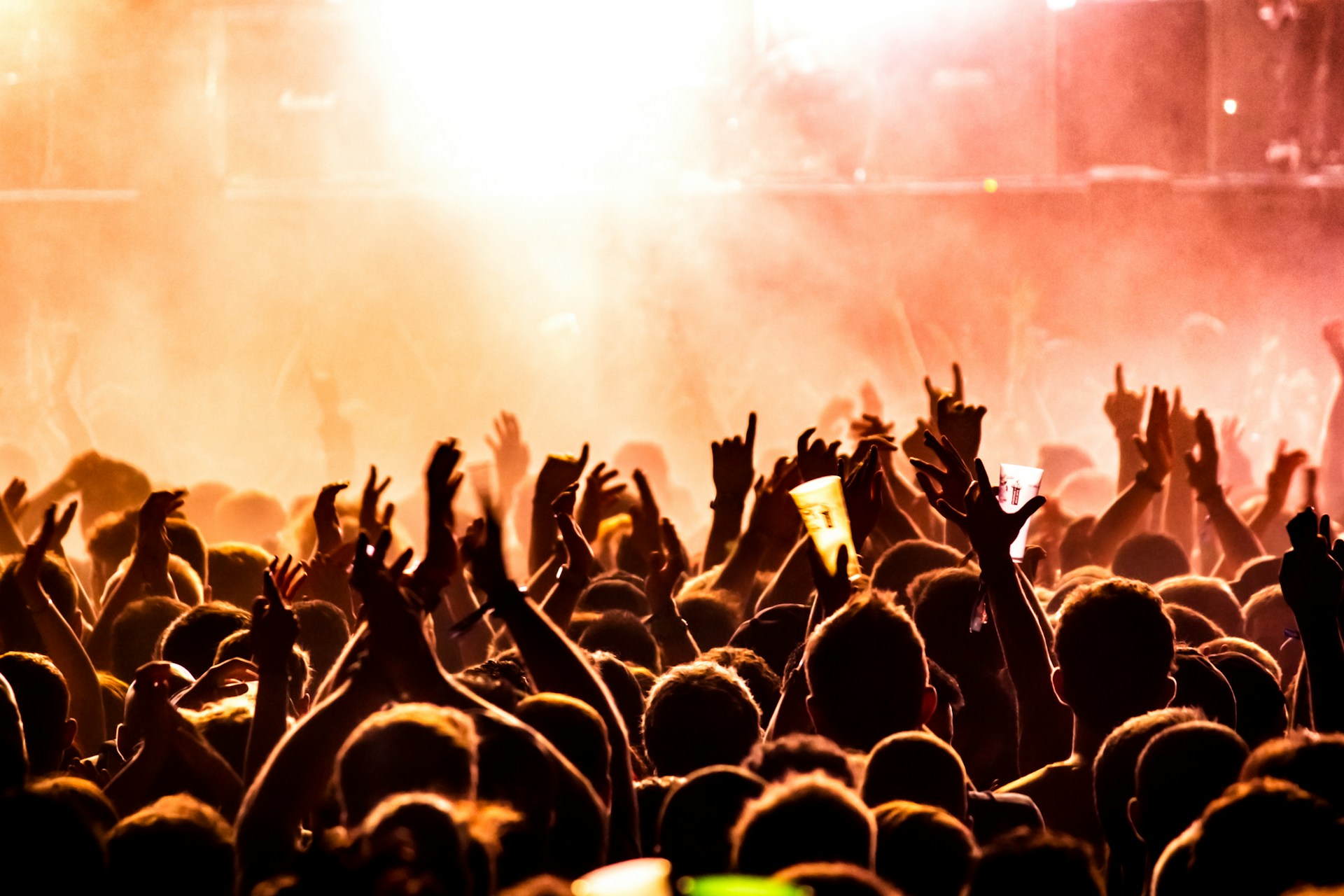 An image of a concert crowd.