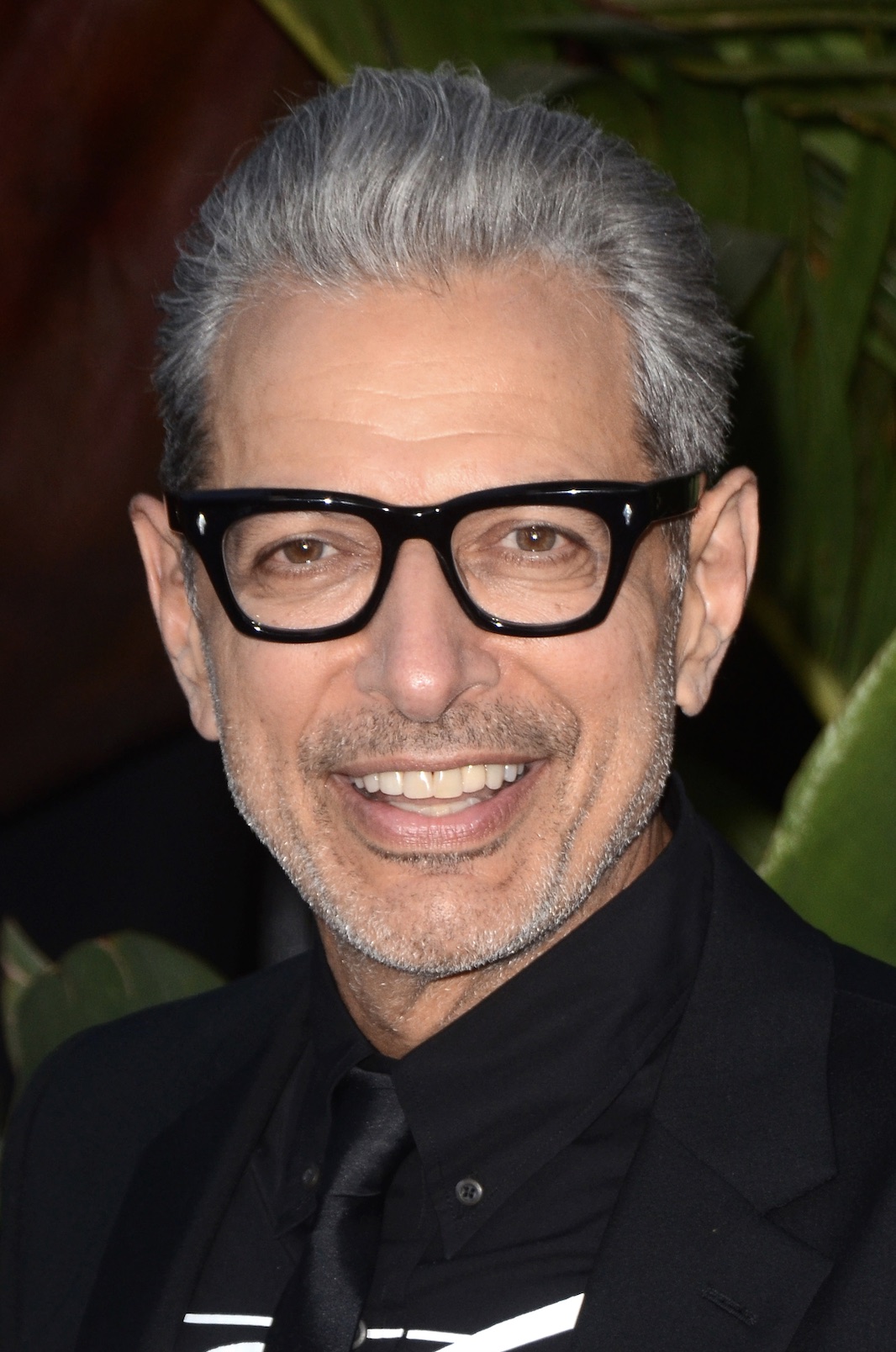 An image of Jeff Goldblum.