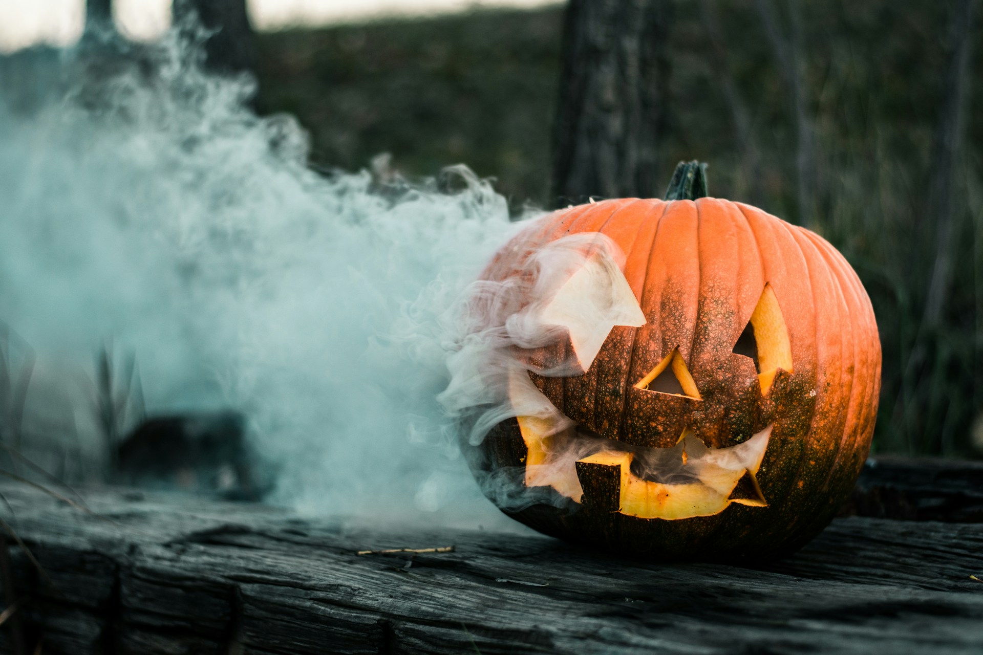An image of a carved pumpkin for spooky seson.