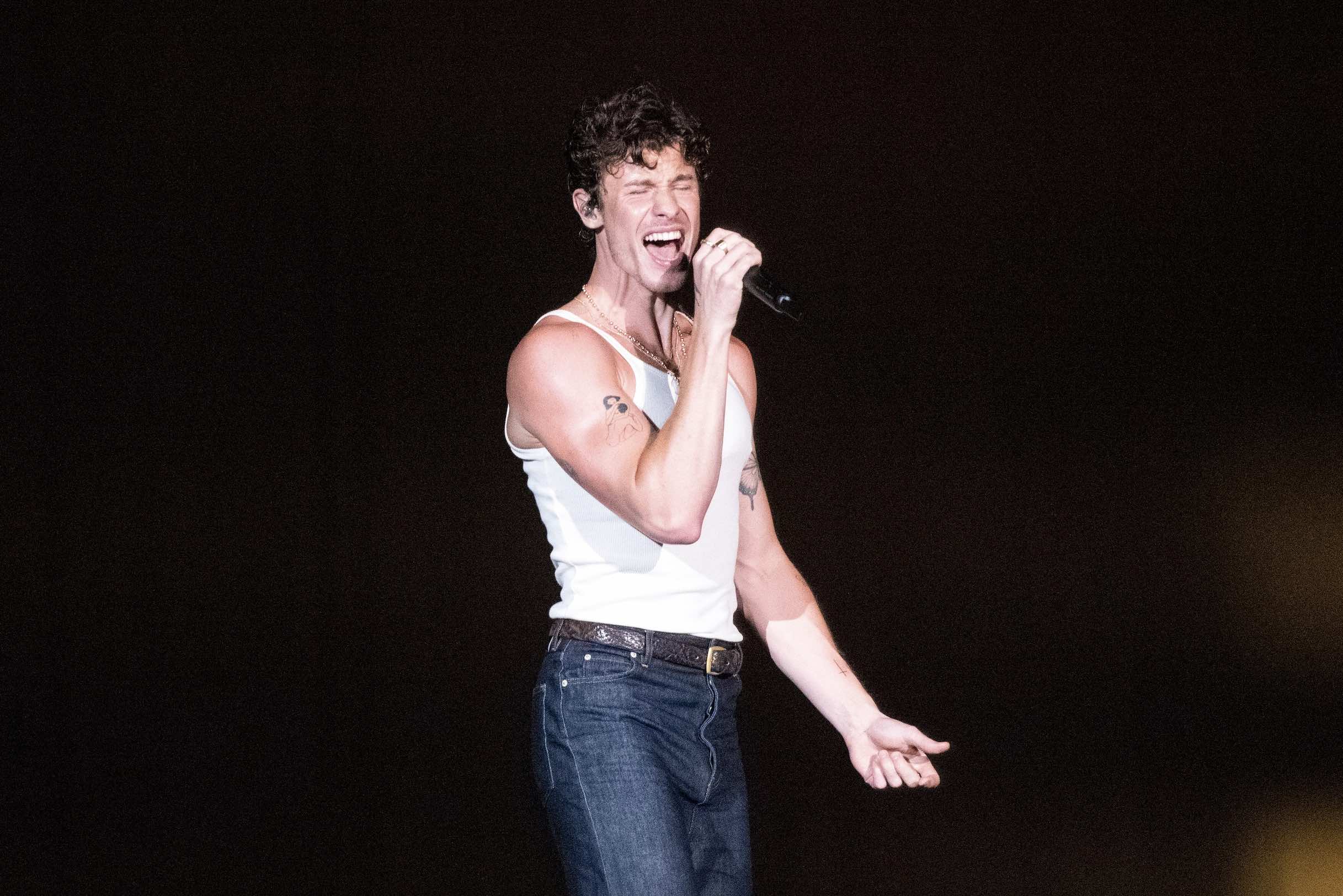 An image of singer Shawn Mendes singing on stage.
