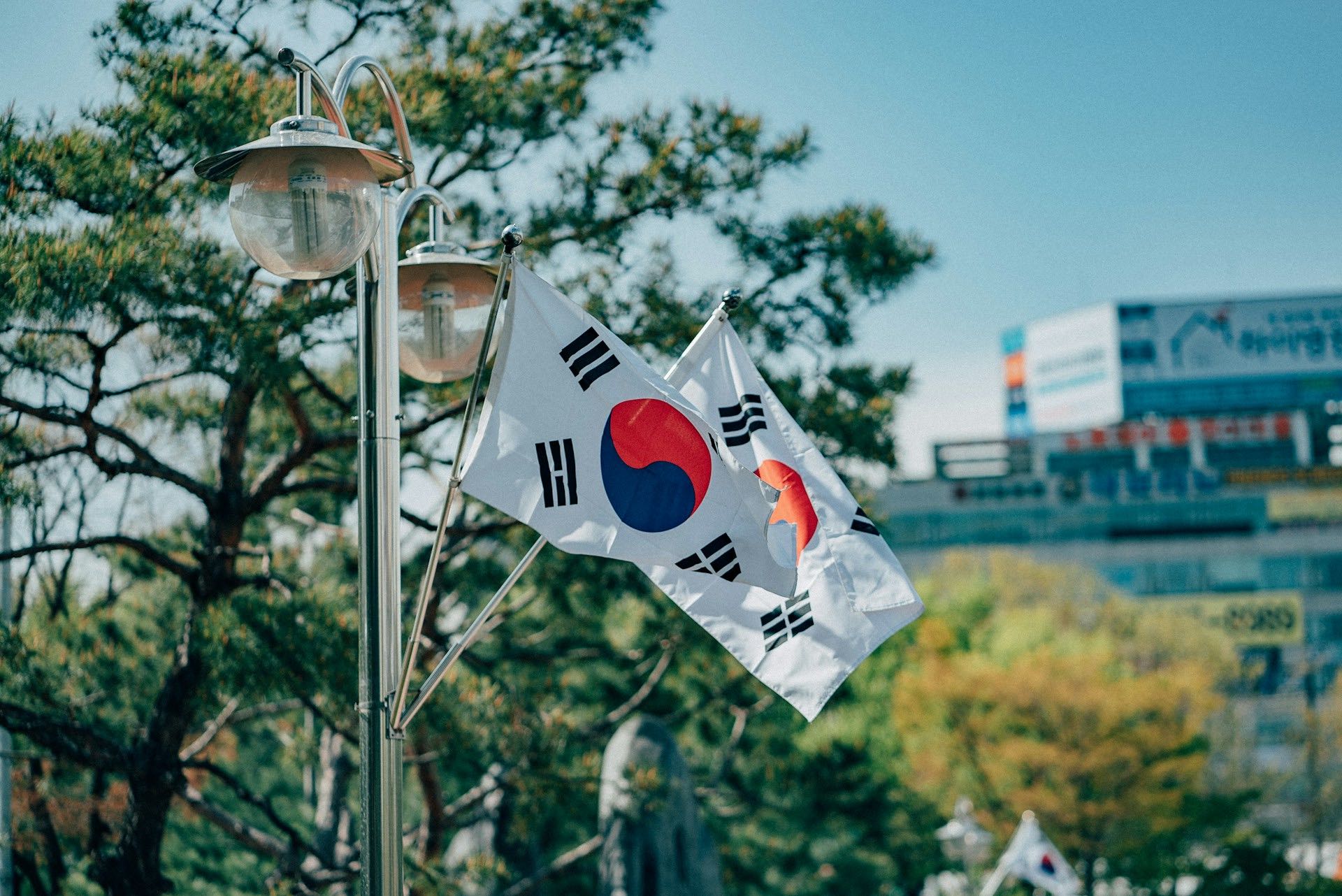 An image of the Korean Flag.