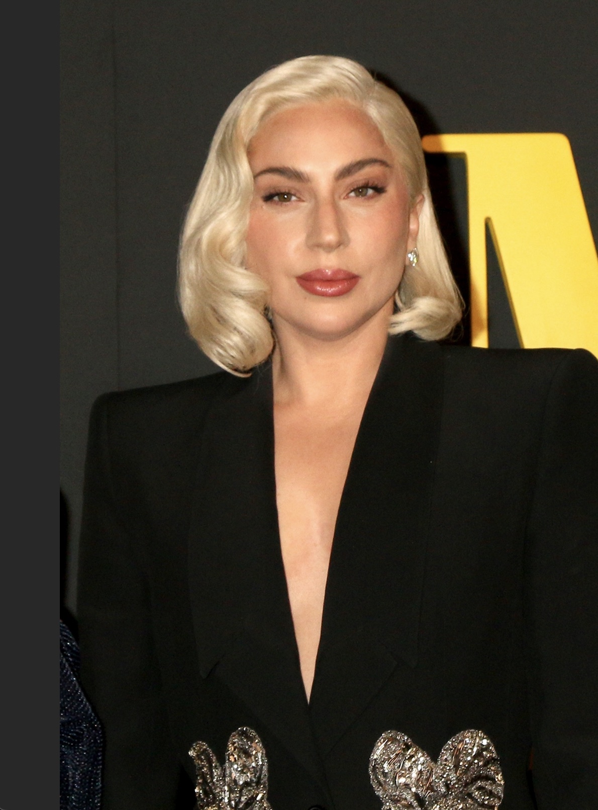 An image of Lady Gaga.