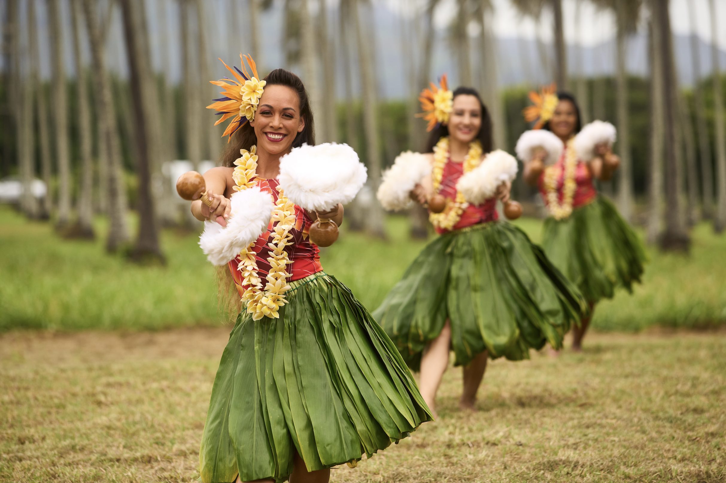 An image of hula dancers.