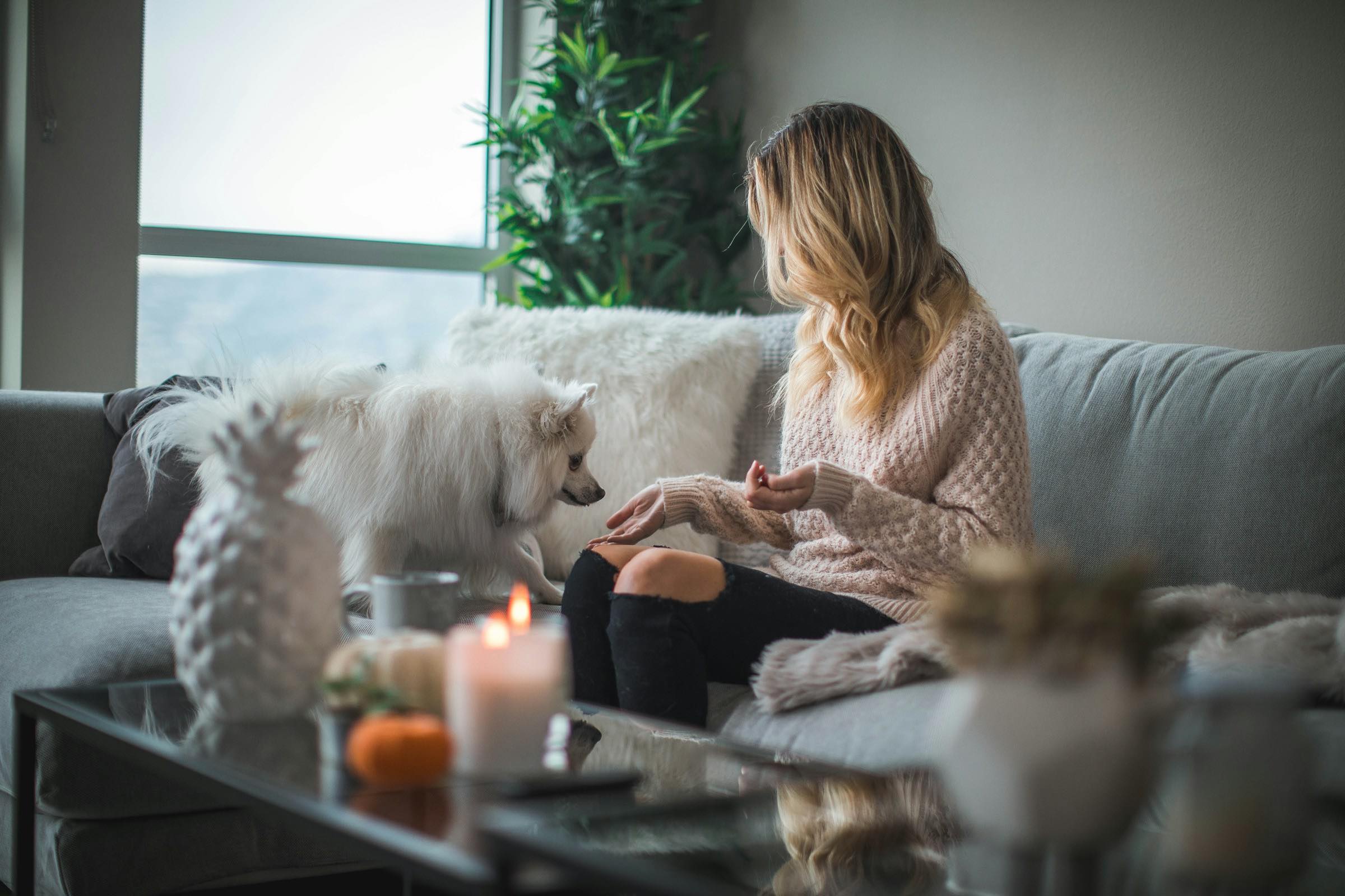 An image of a woman on a couch with her dog.