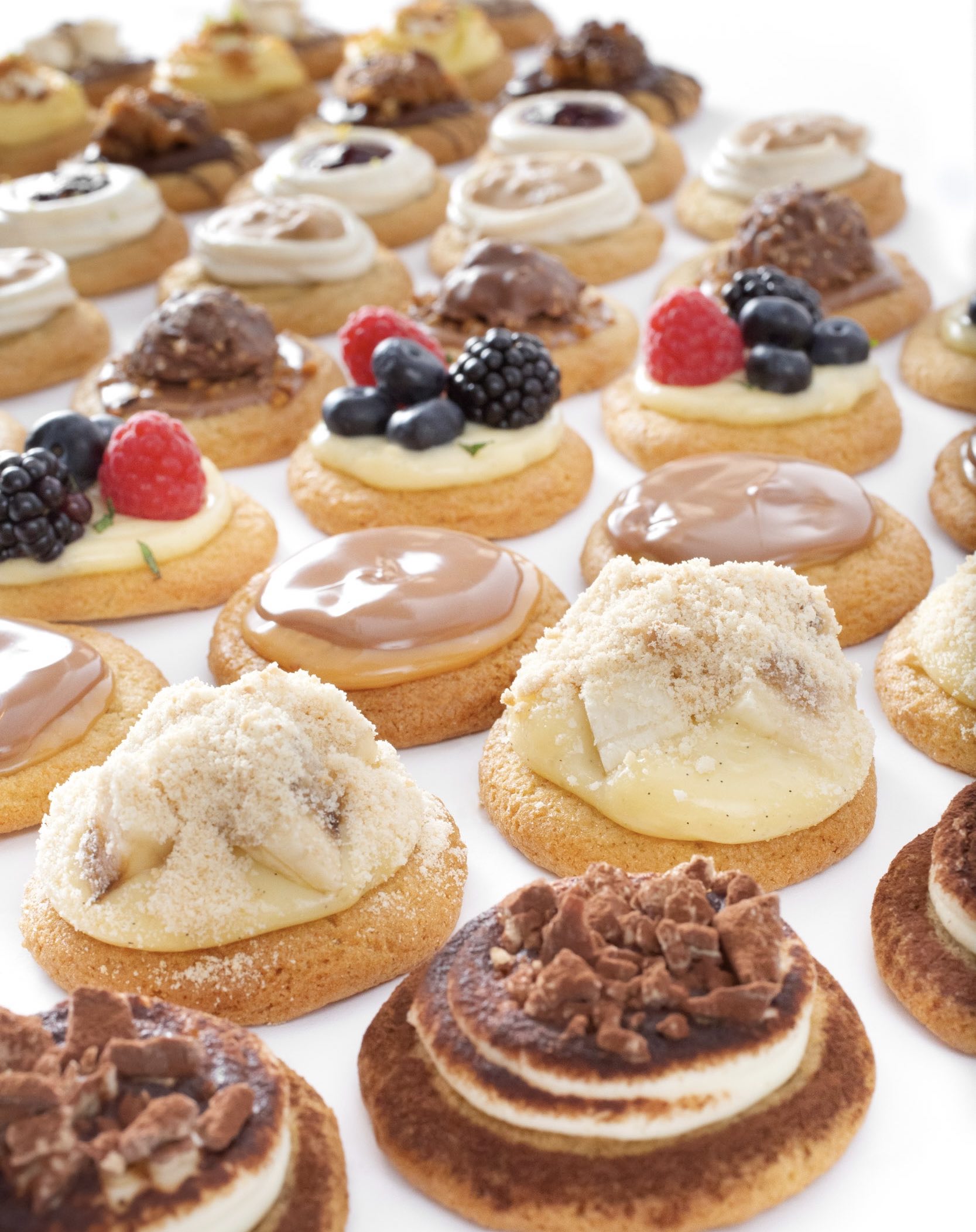 An image of an assortment of Junior Cookies.