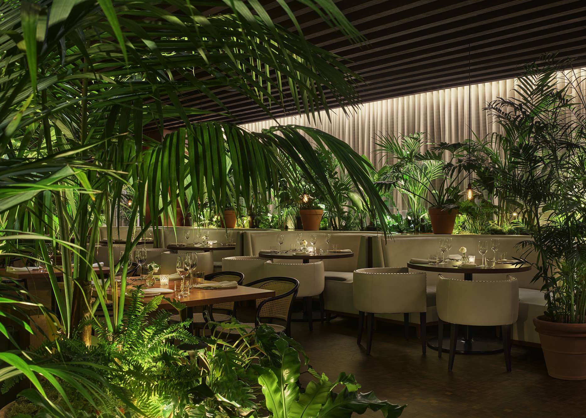 An image of the interior of Ardor.