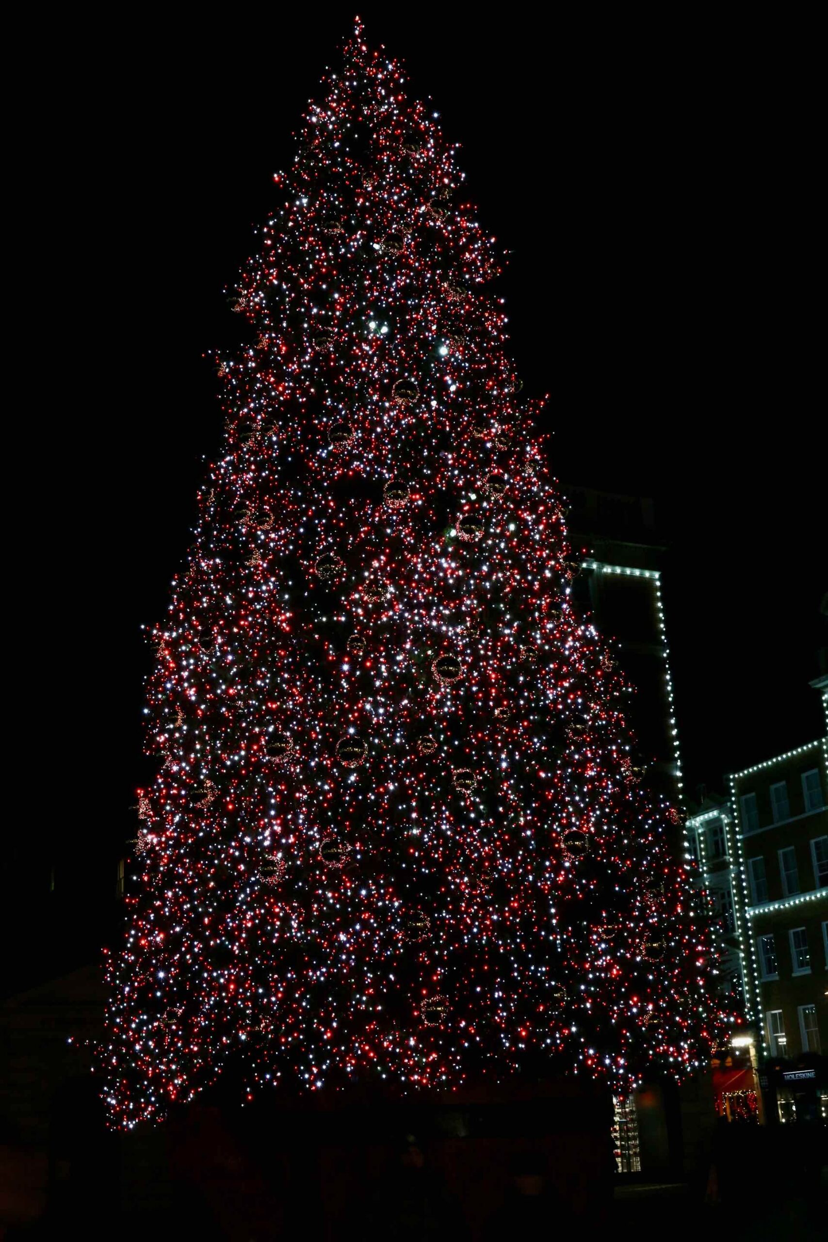 An image of a large Christmas tree.