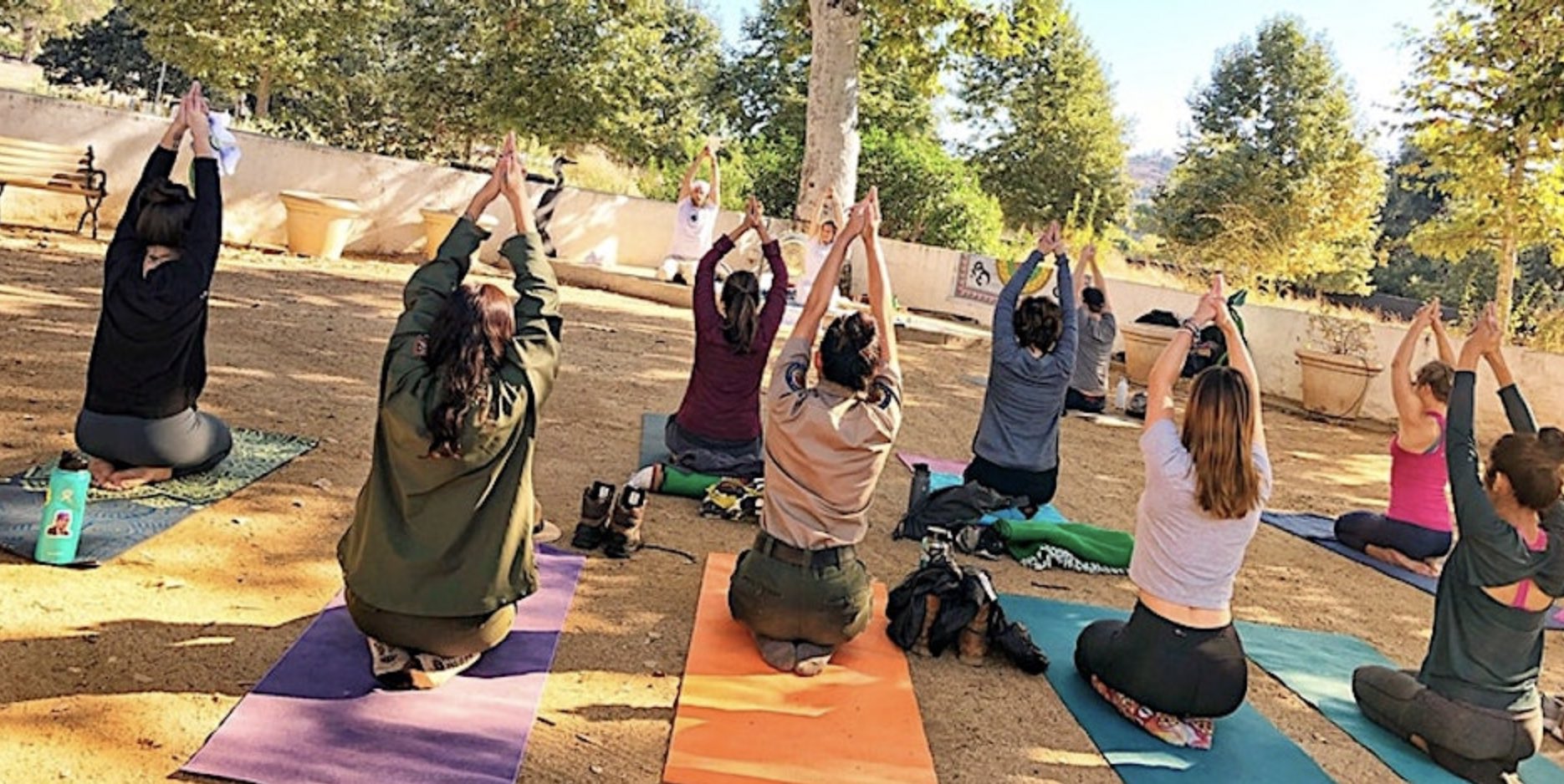 An image of people doing yoga.