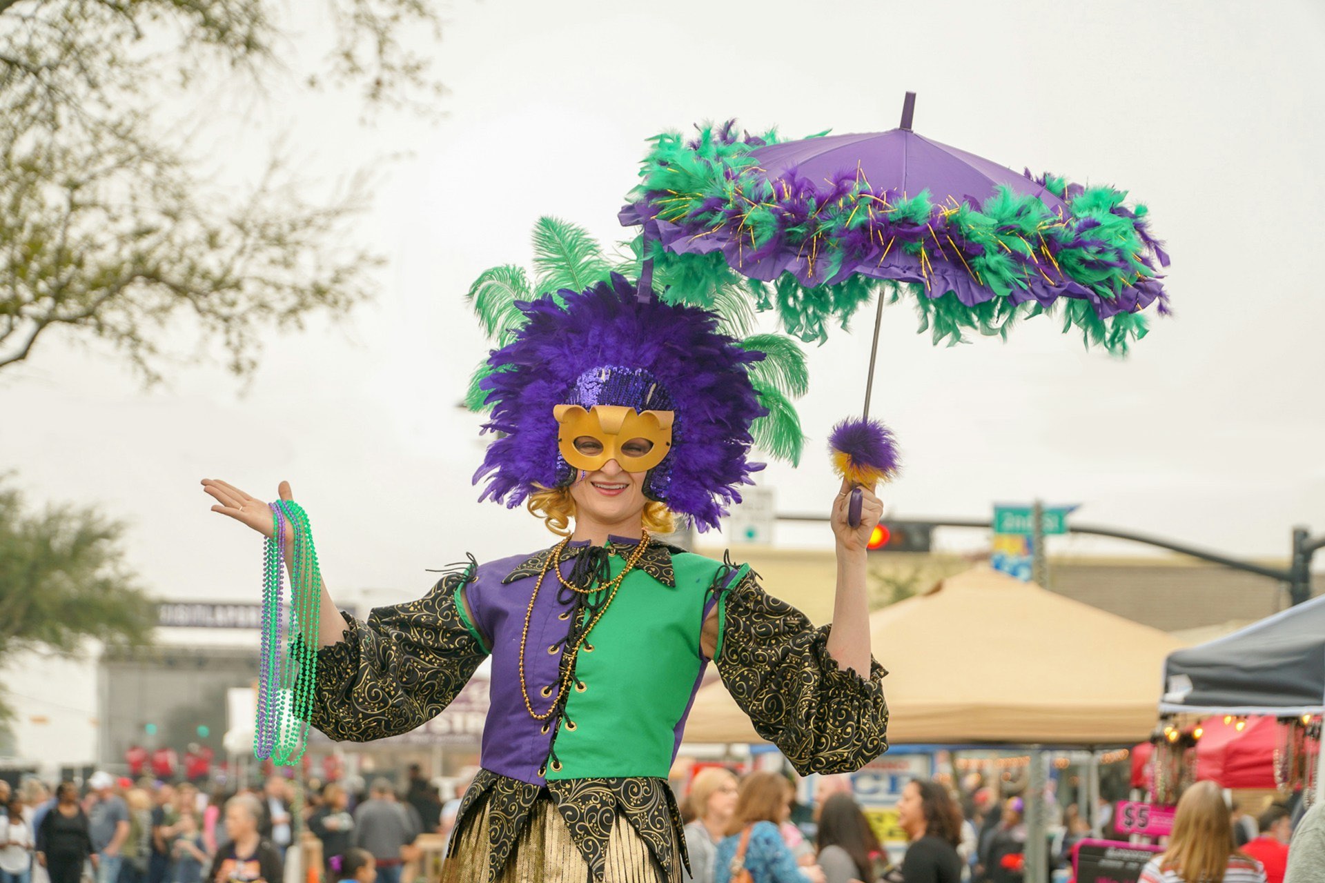 An image of someone wearing a MArdi Gras costume.