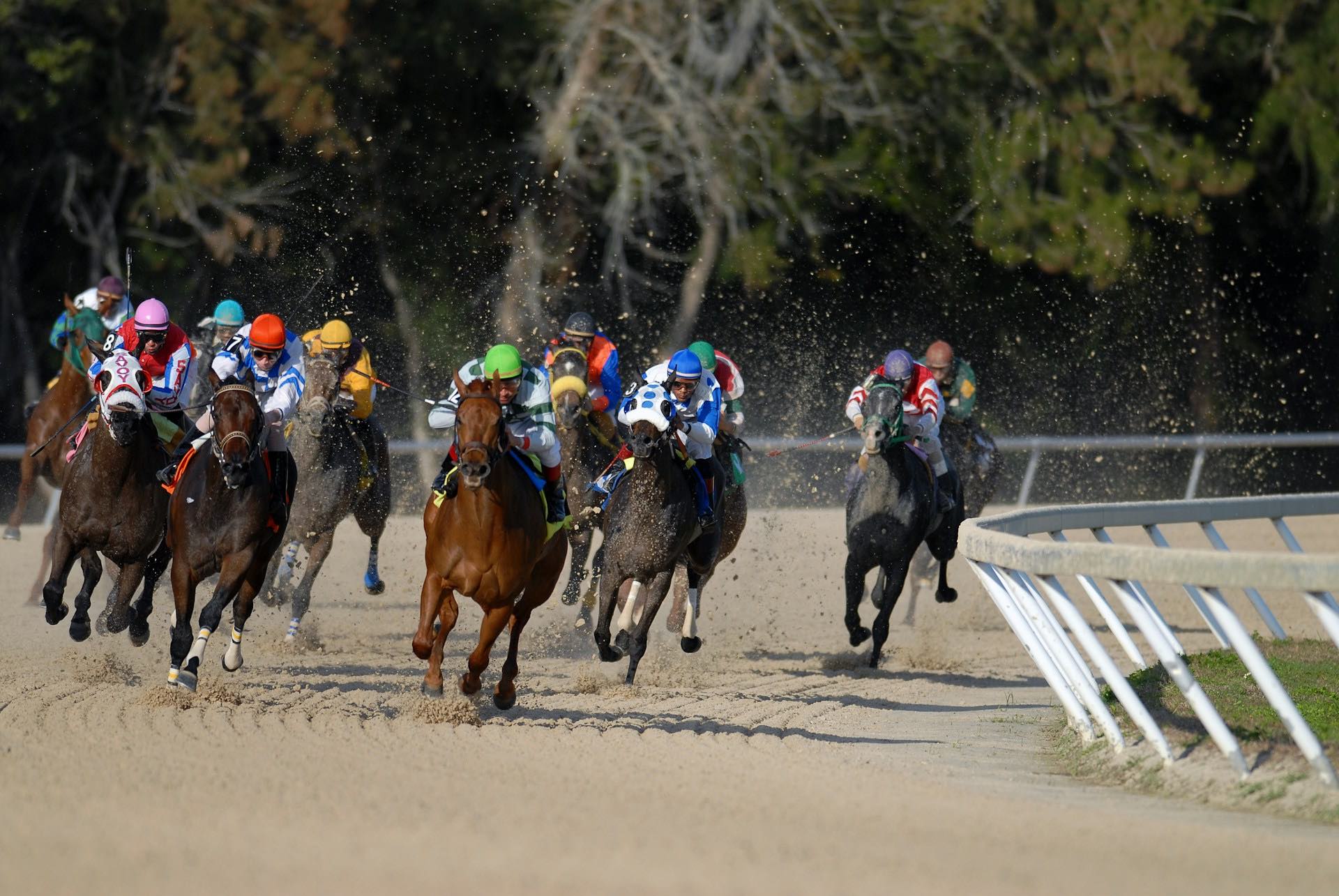 An image of a horse race.