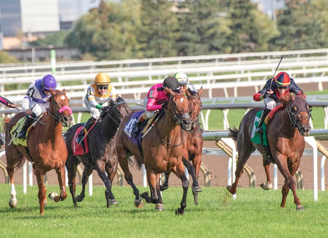 An image of horses racing,