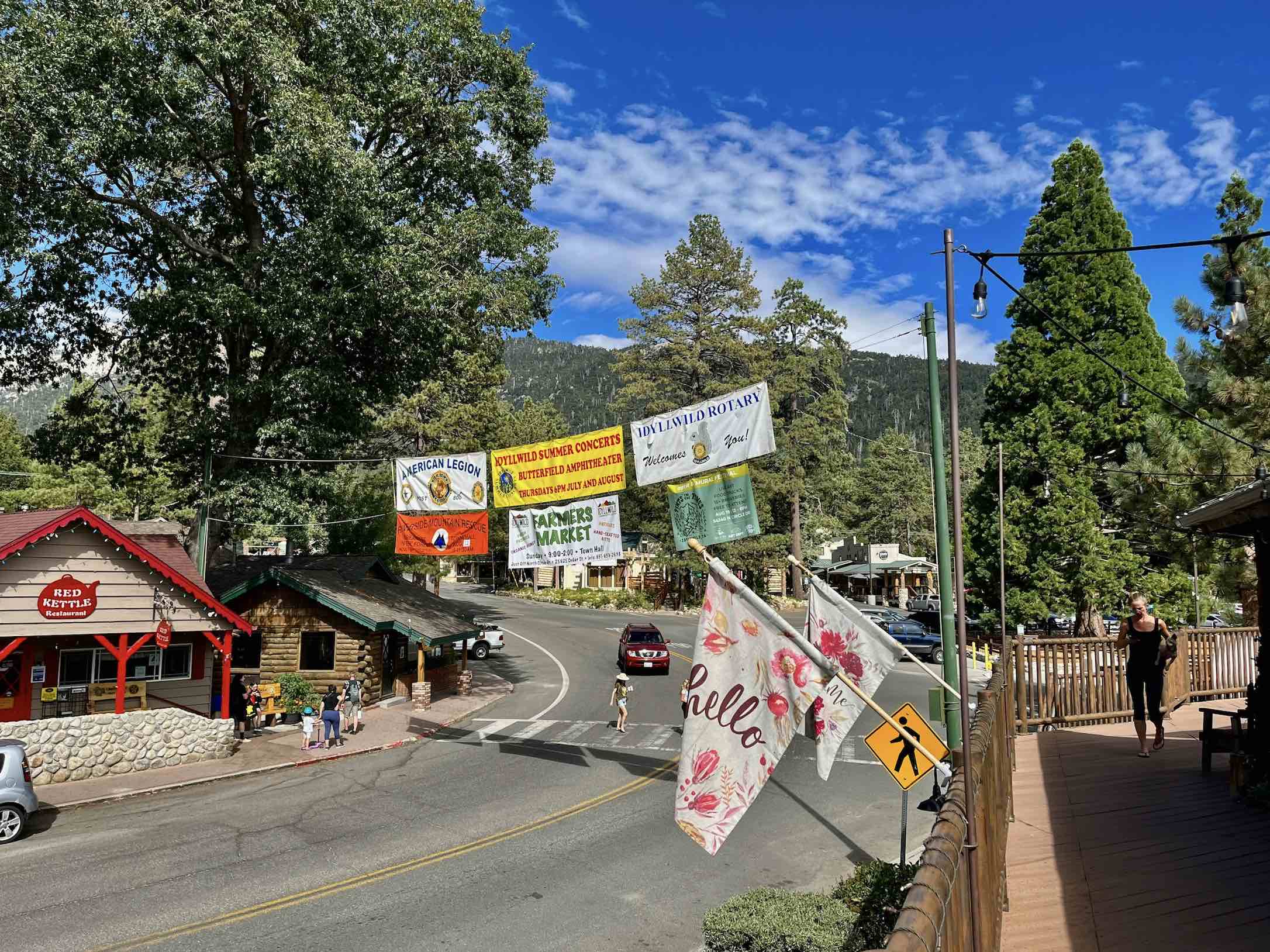 An image of the main strip of stores in Idyllwild.