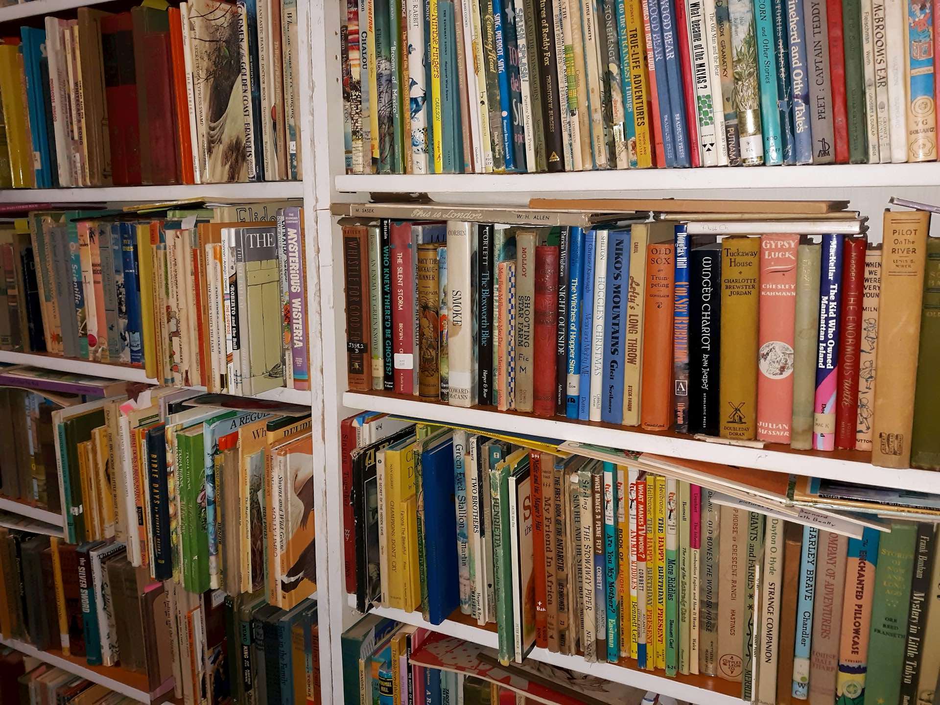 An image of rows of books representing The Los Angeles Times Festival of Books.