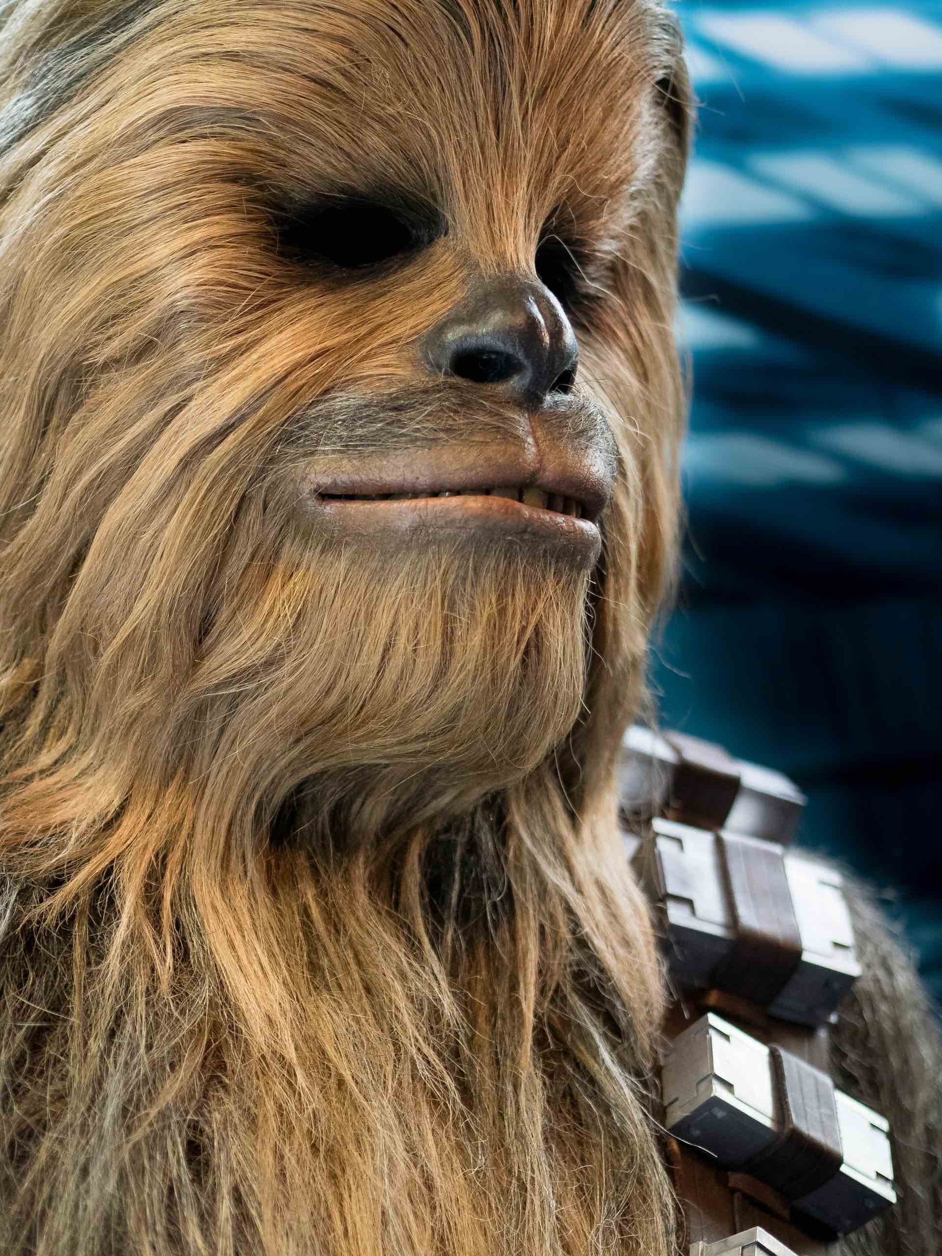 An image of someone in a Chewbacca costume.