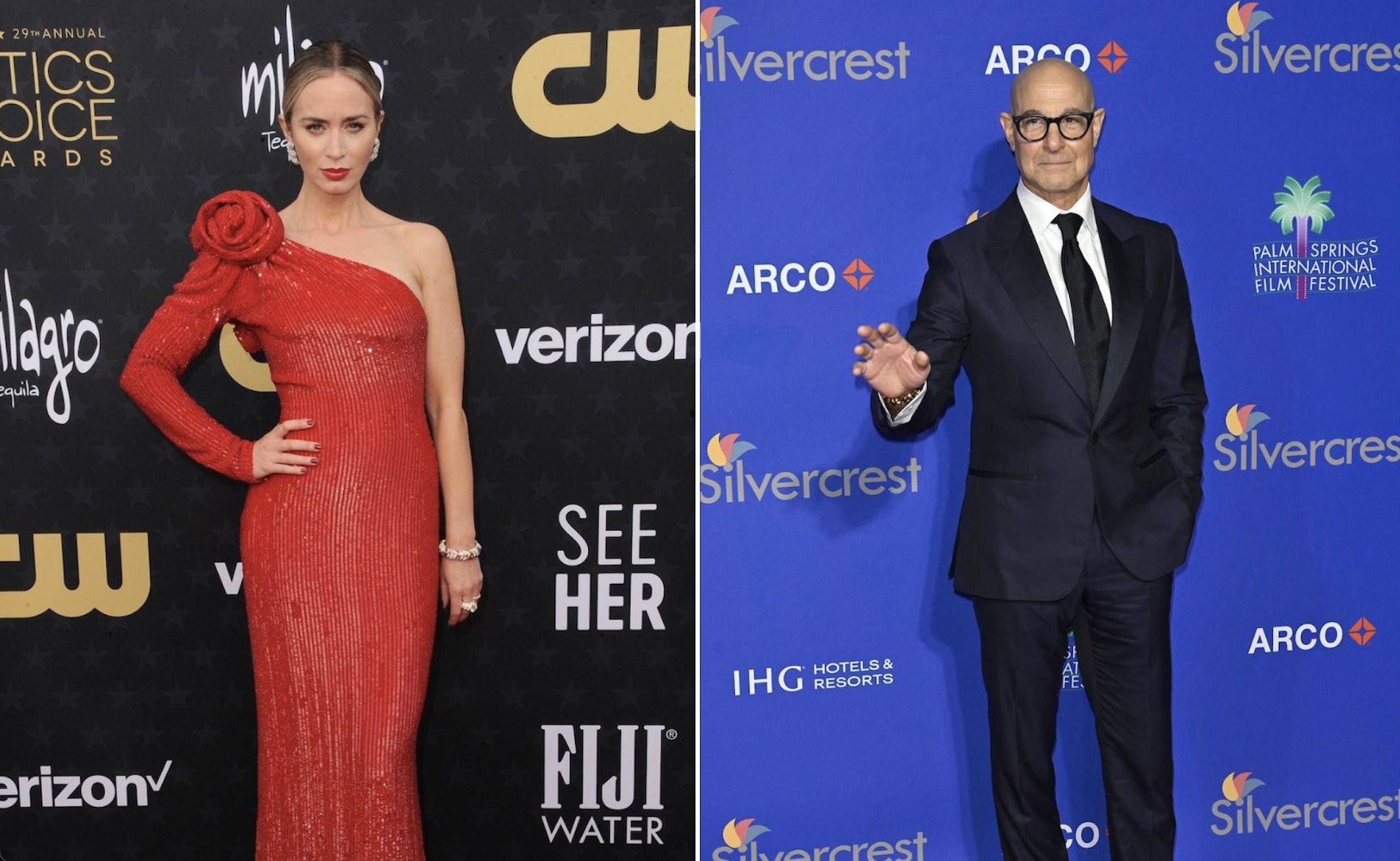 An image of both Emily Blunt and Stanley Tucci.