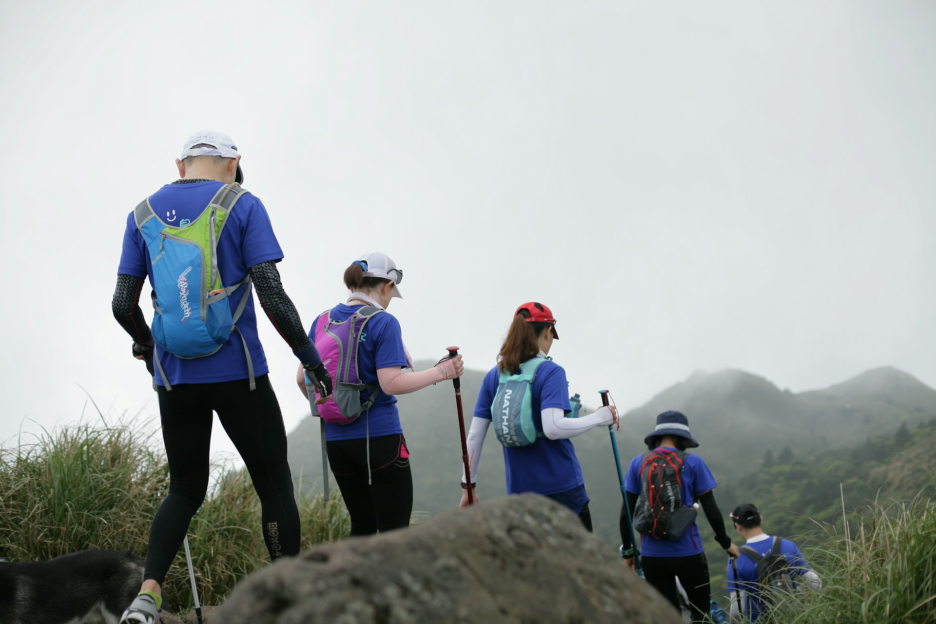 An image of people hiking with trekking poles.