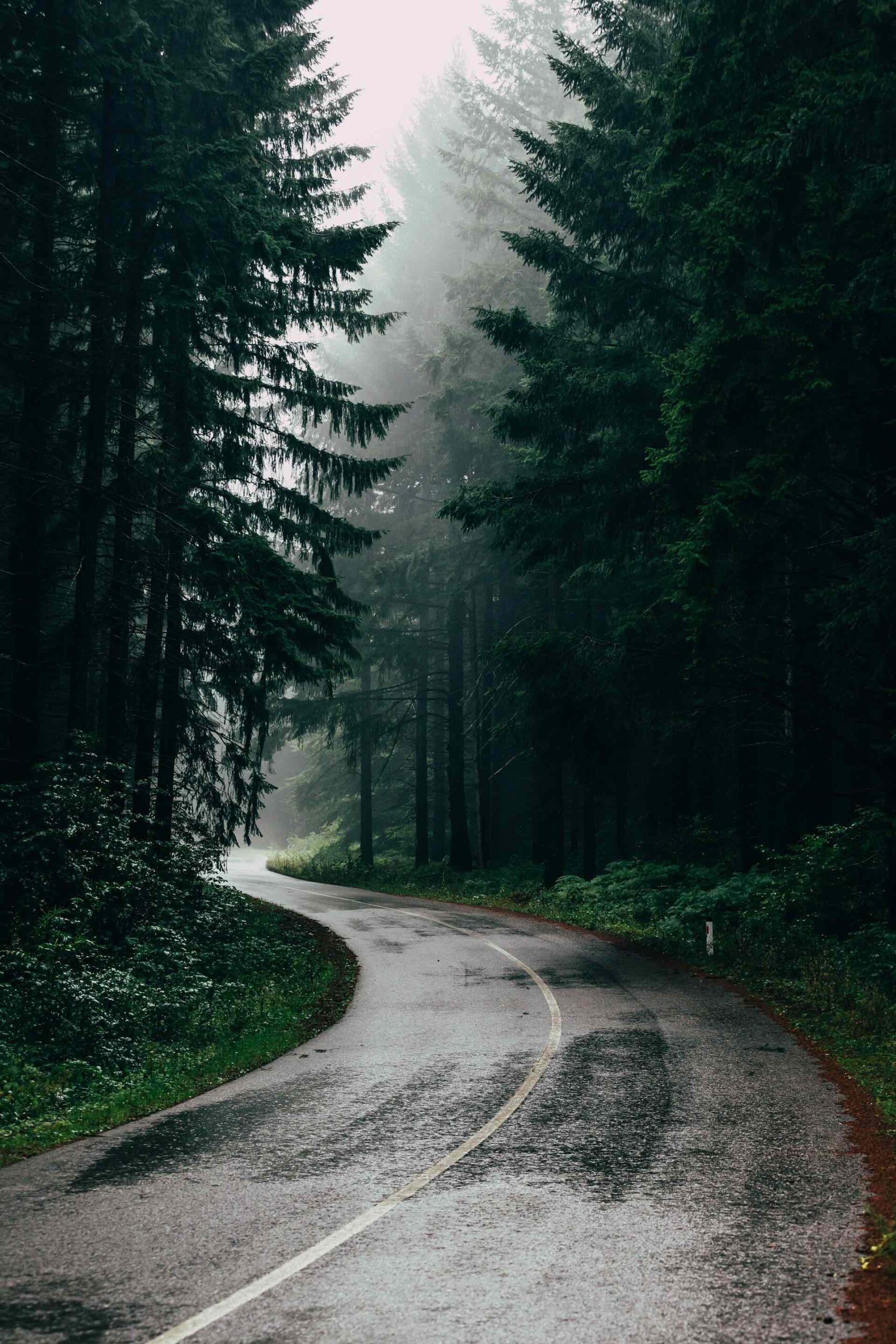 An image of it raining in a national park.