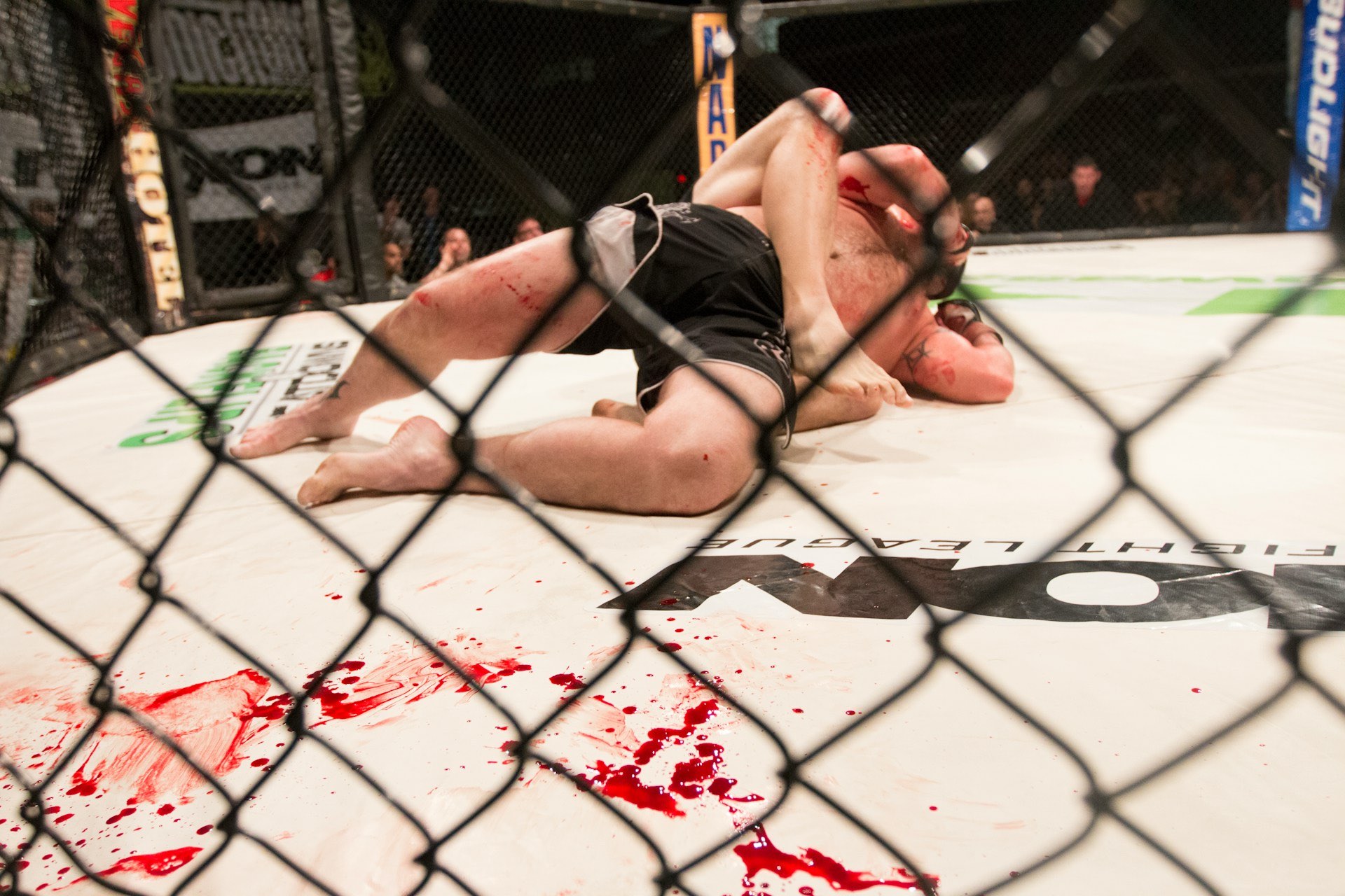 AN image of two MMA fighters in the rink,
