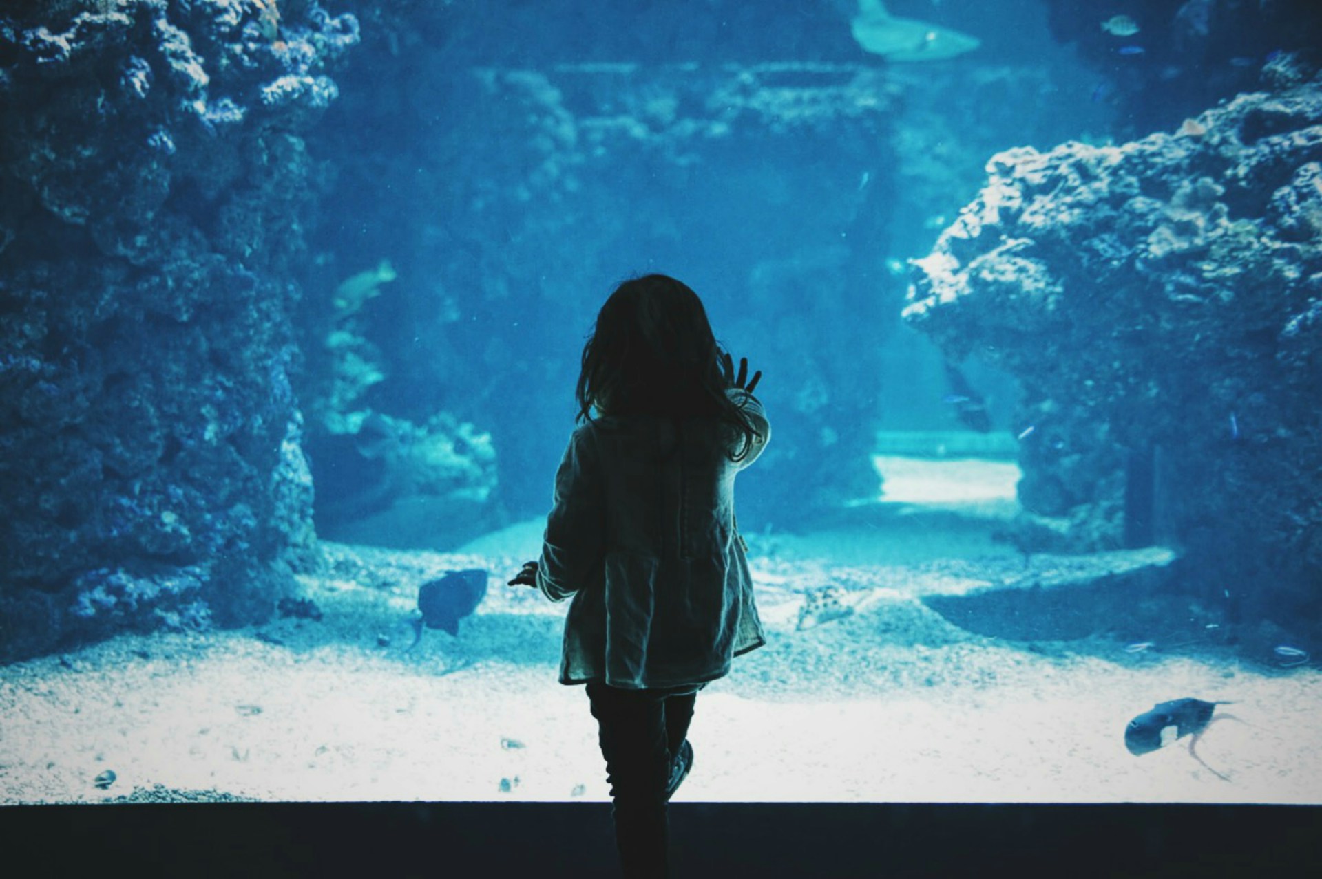 An image of a little girl at an aquarium.