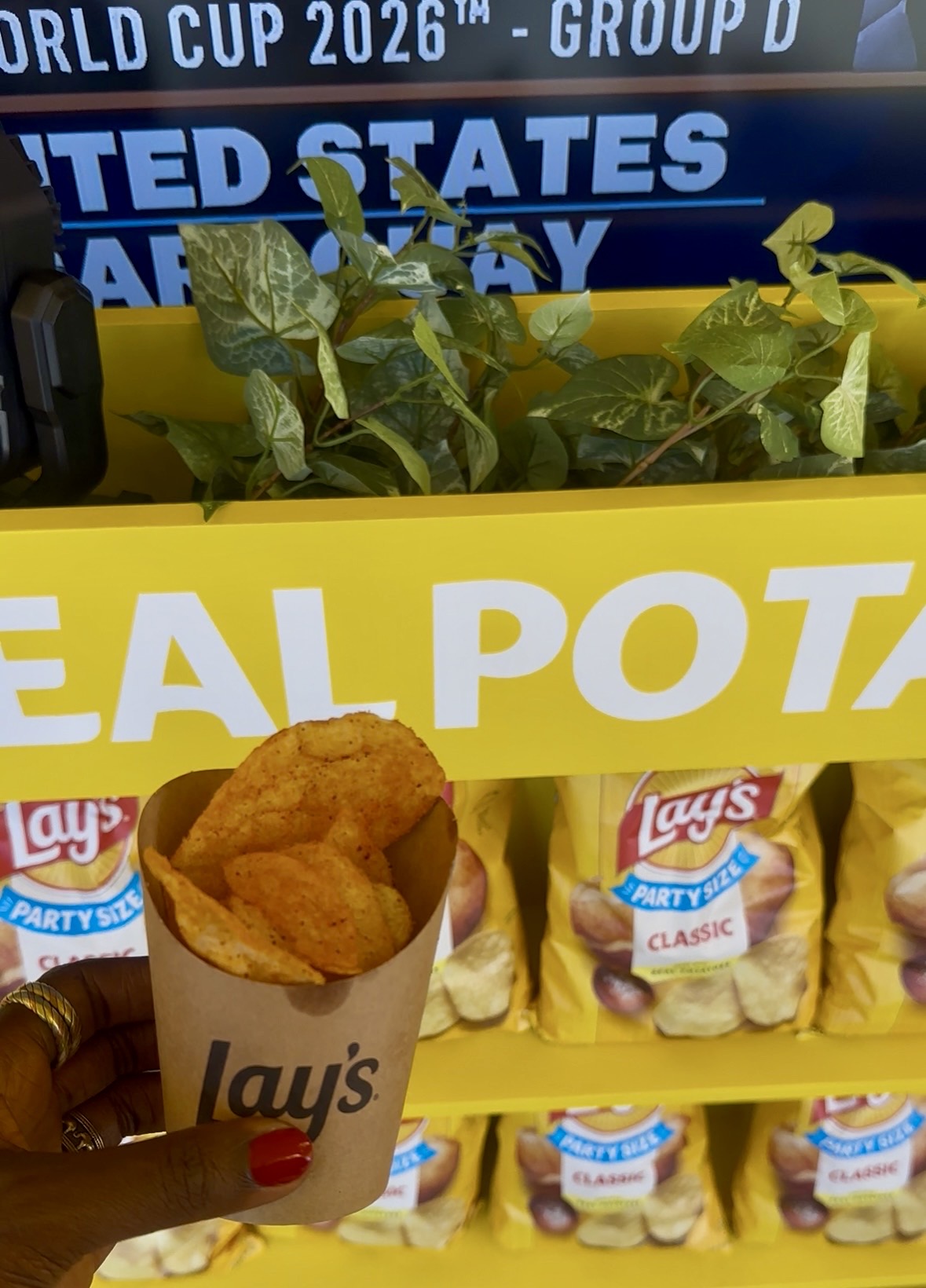 An image of the Kimchi Lay's potato chips.