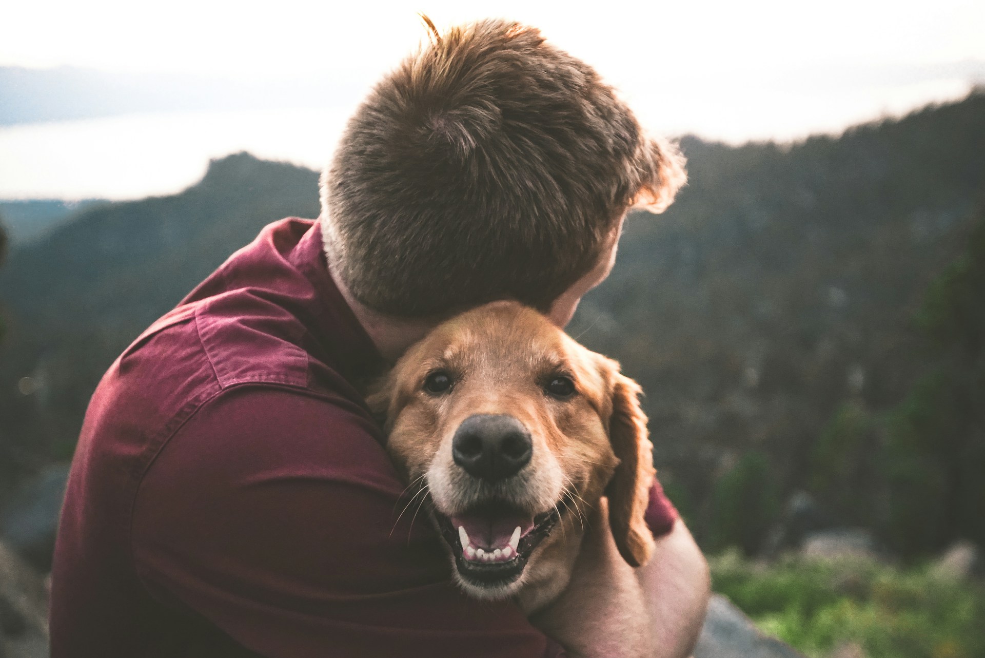 An image of a man holding a dog.