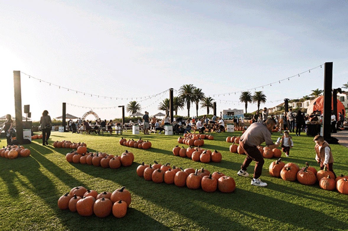 An image of the pumpkin patch at the Terranea Harvest Festival